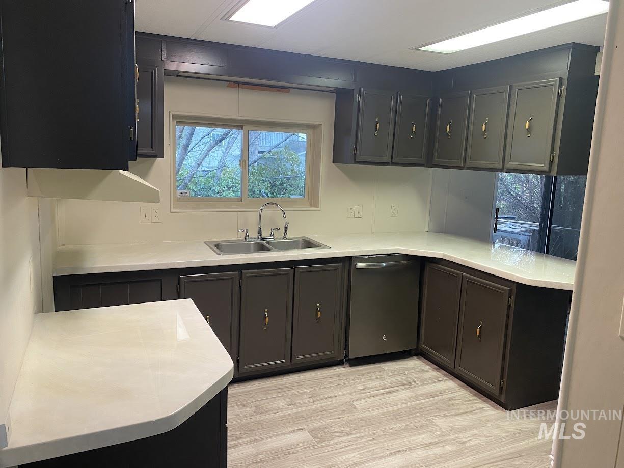 Kitchen featuring dishwasher and light wood-type flooring