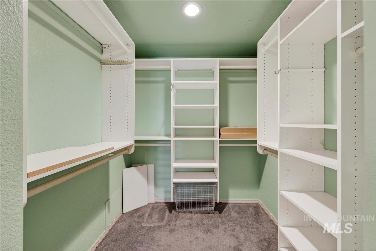 Walk in closet with carpet