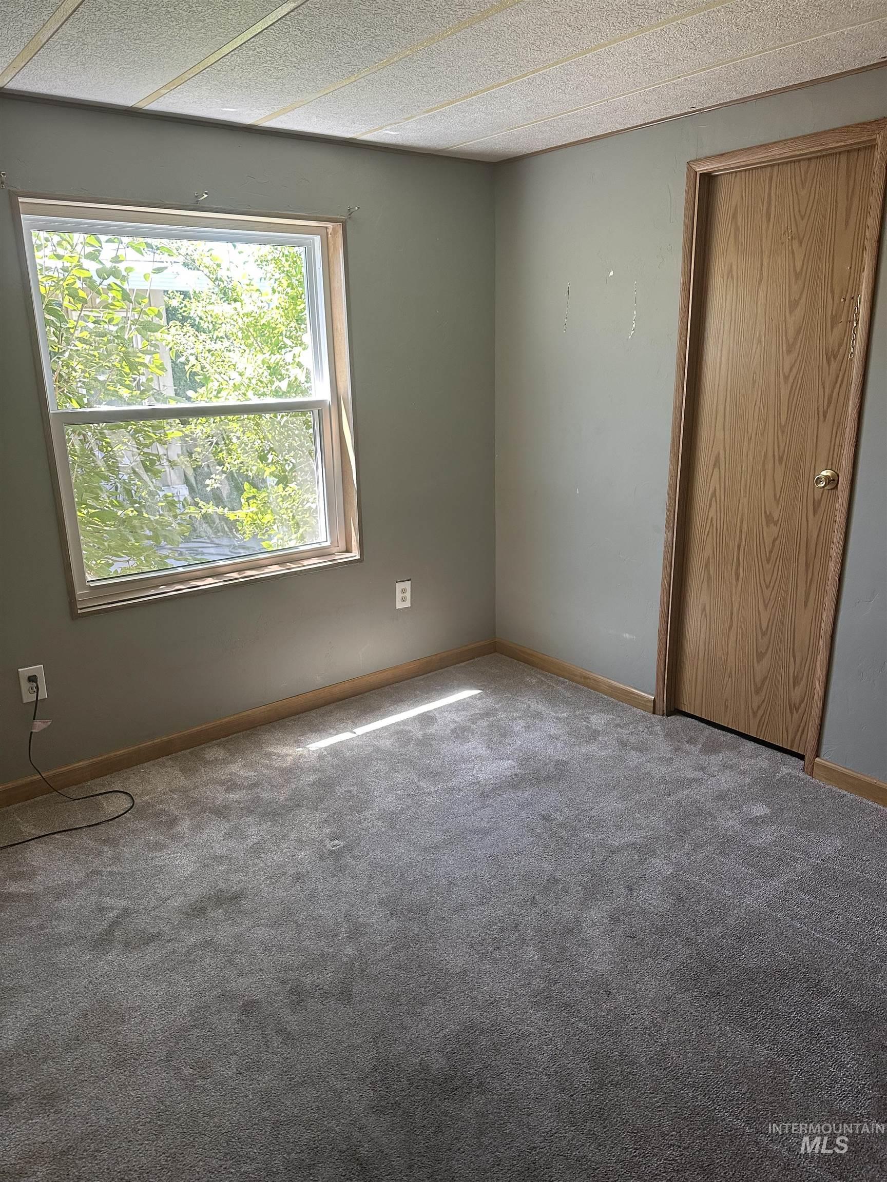 Spare room with carpet floors and a textured ceiling