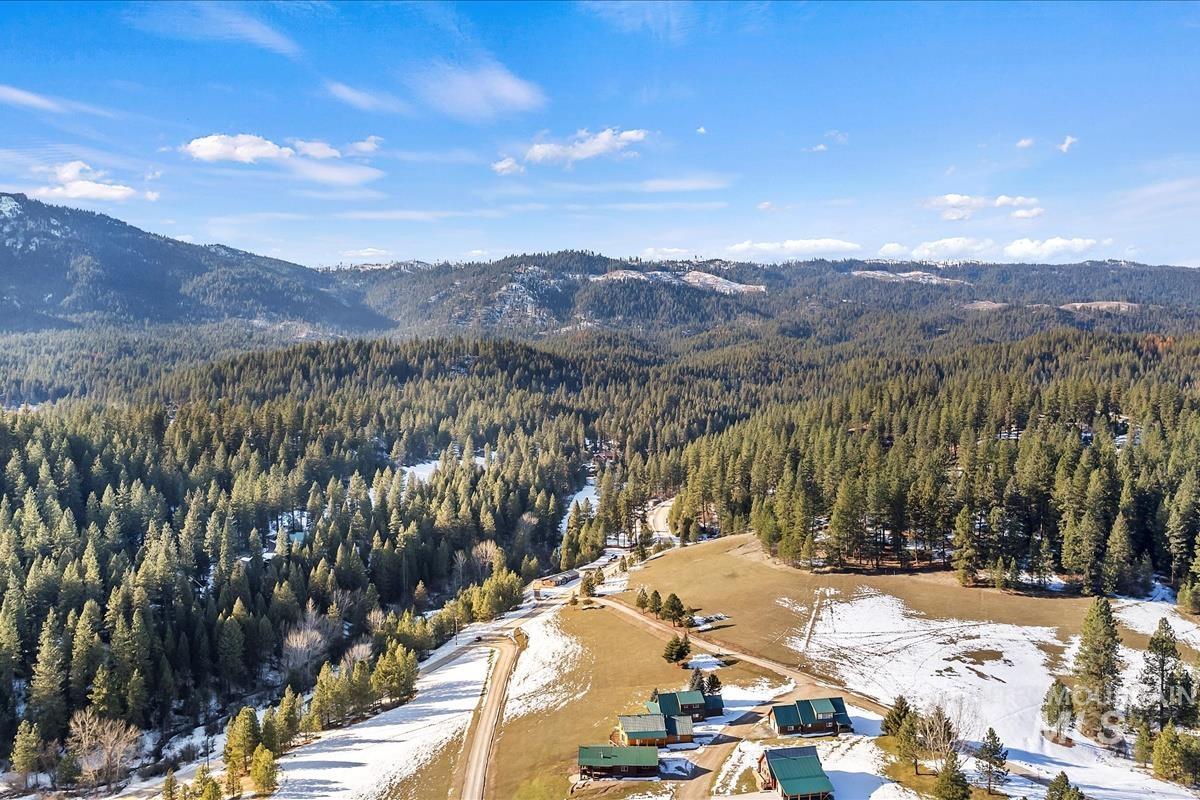 Drone / aerial view of mountains and a heavily wooded area