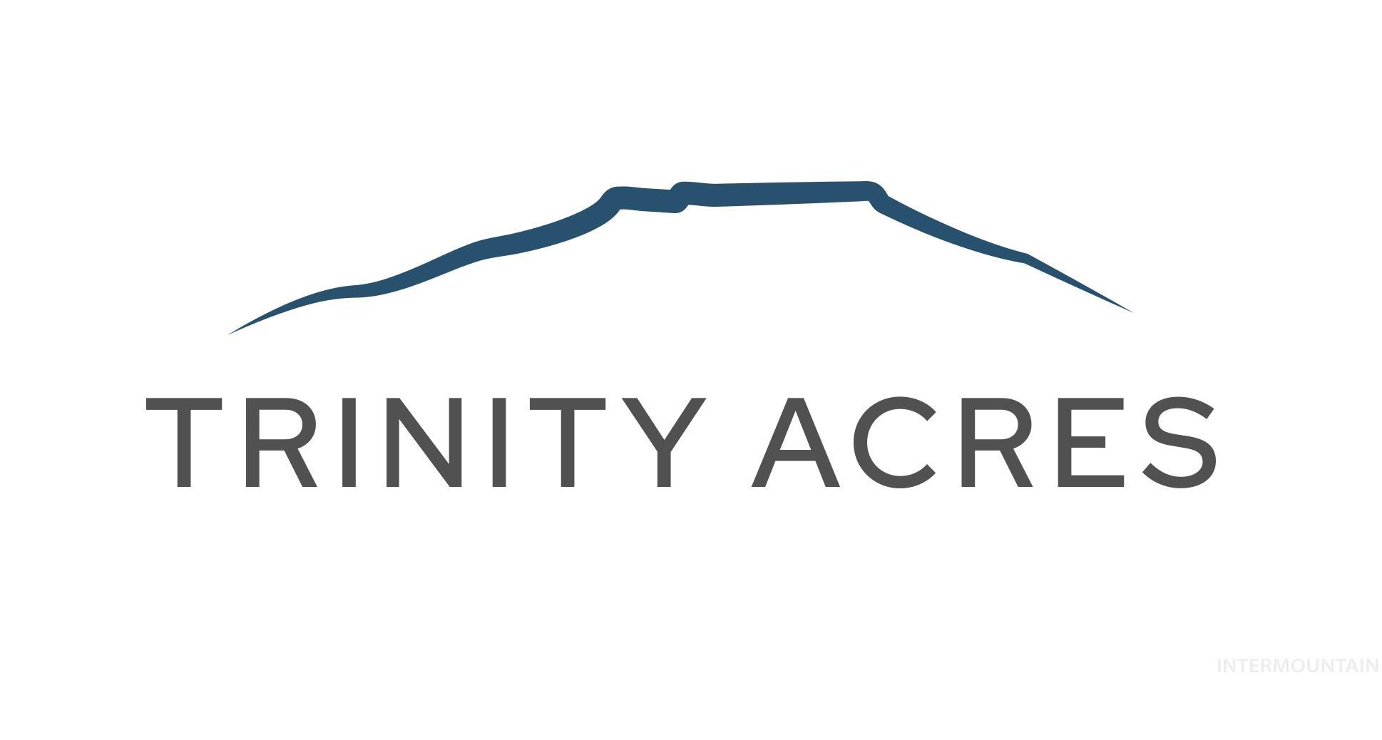 View of miscellaneous document