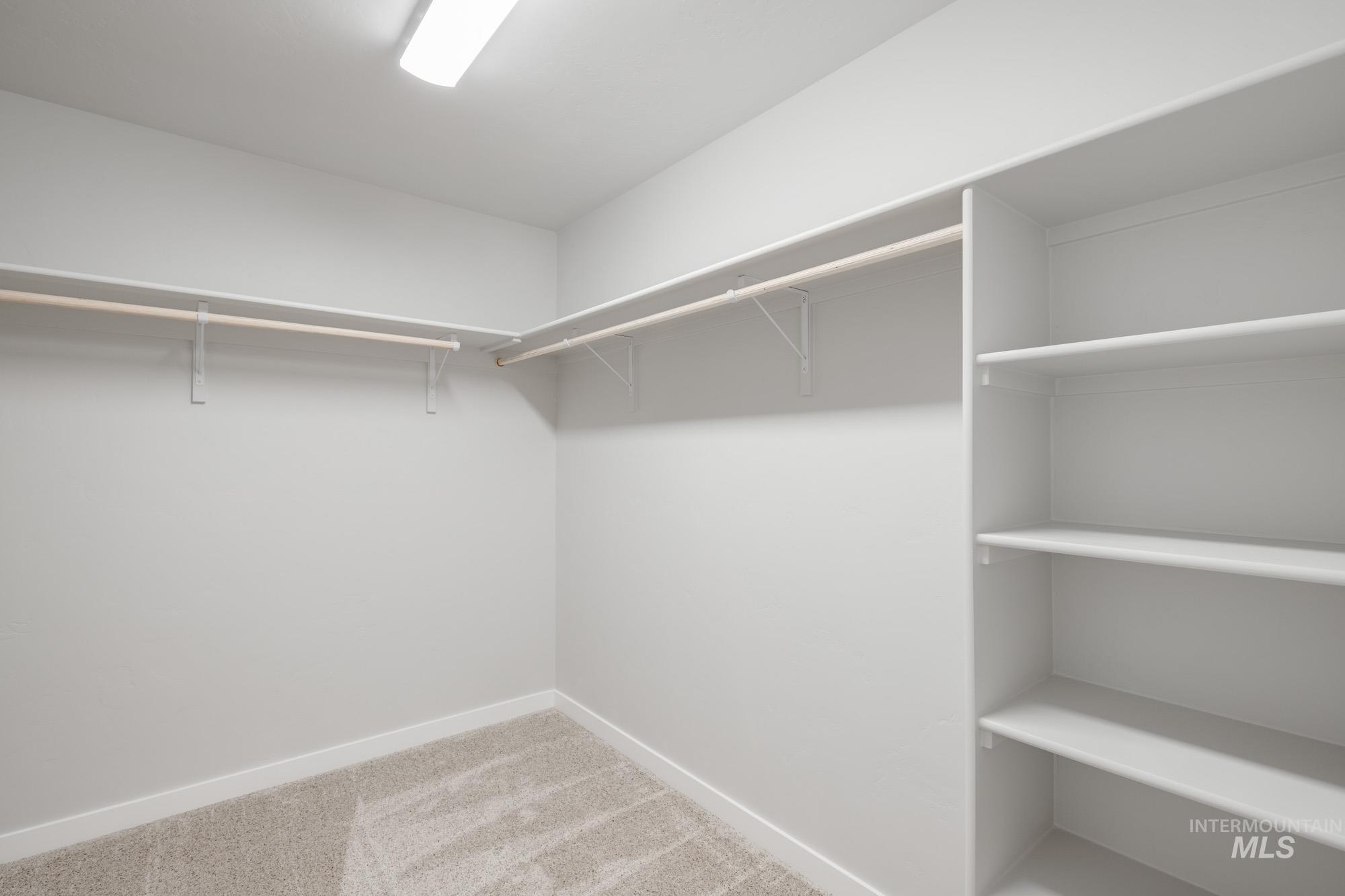 Walk in closet with light carpet
