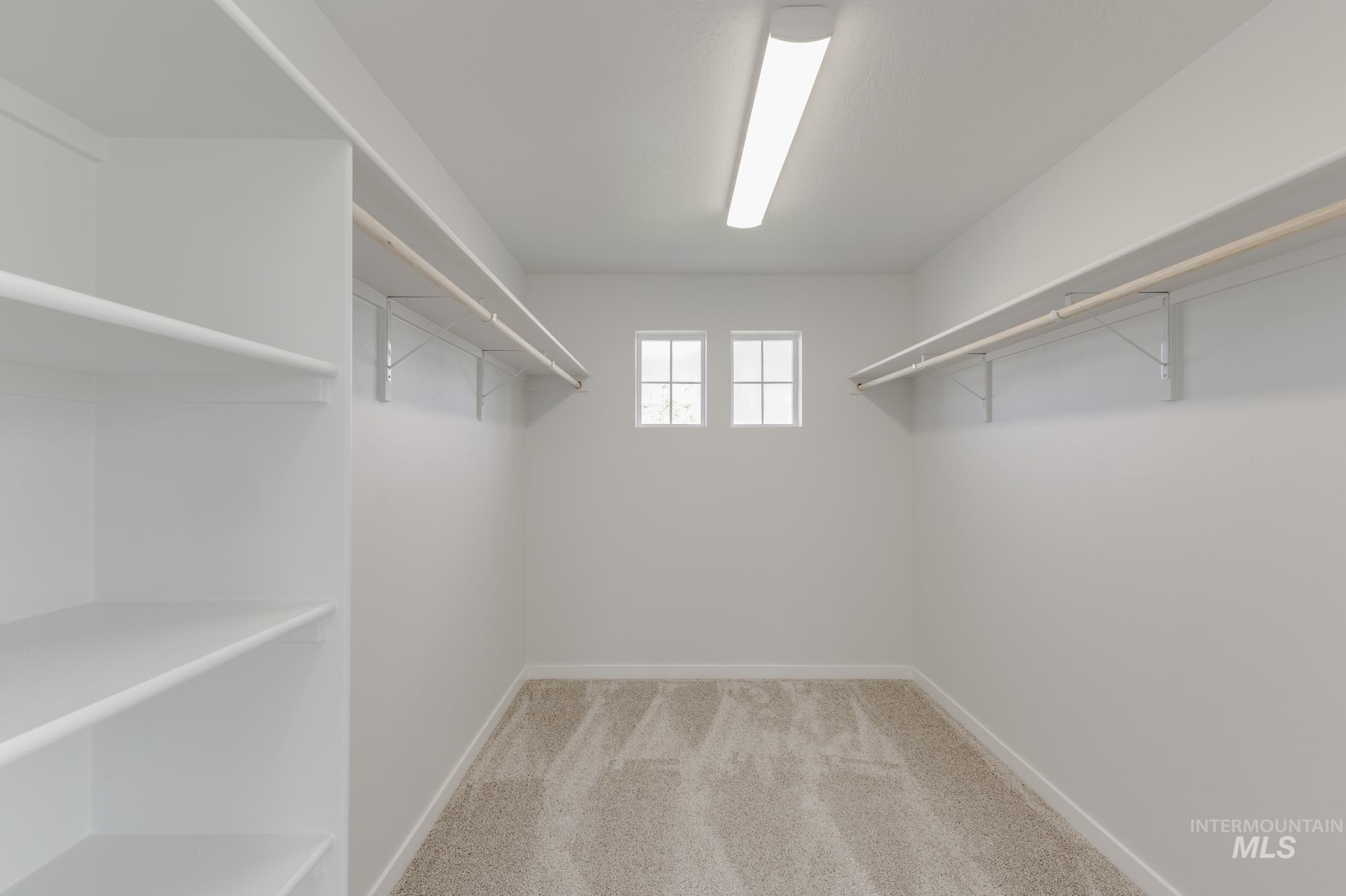 Walk in closet with light colored carpet