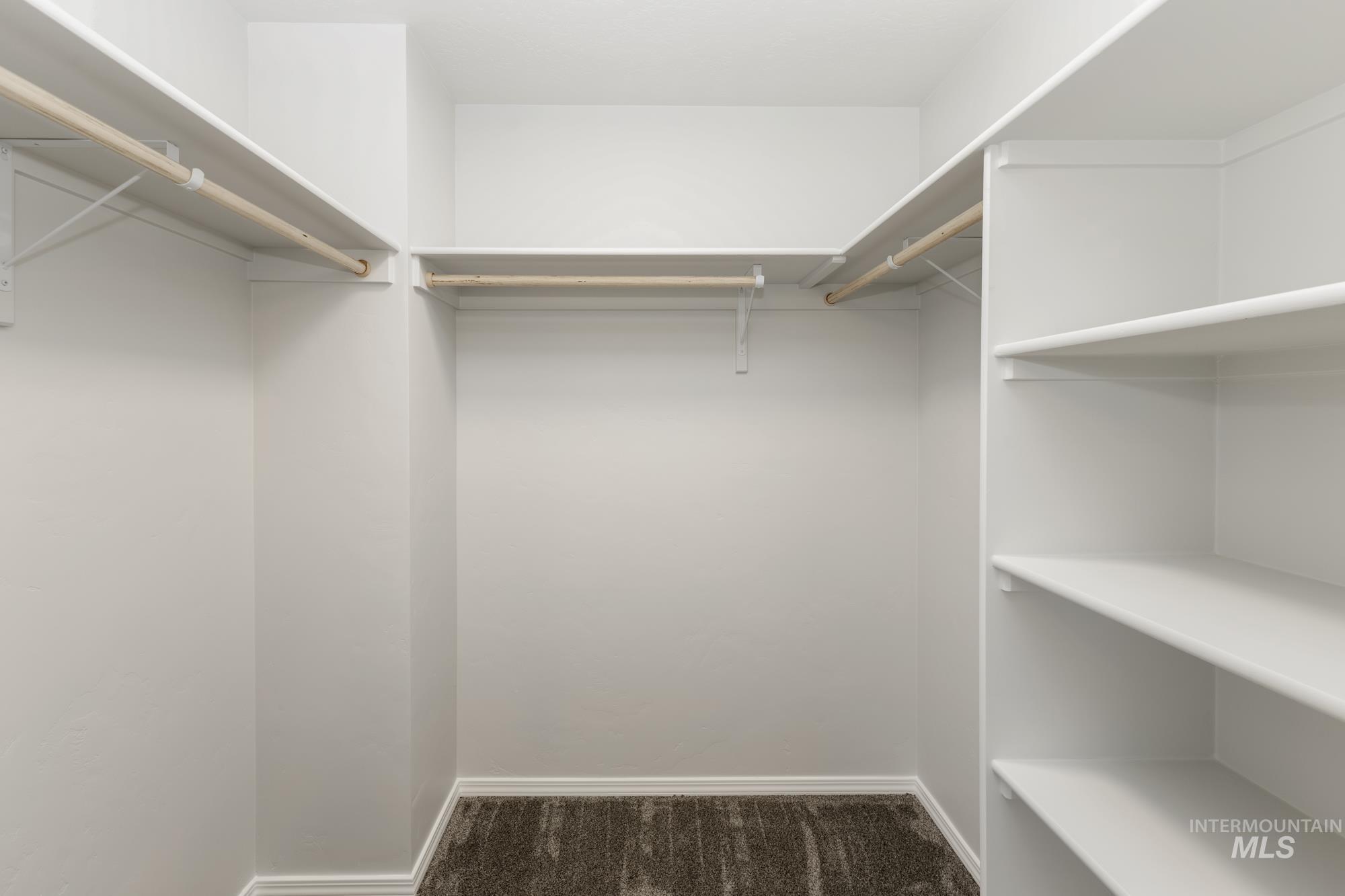 Walk in closet featuring dark colored carpet