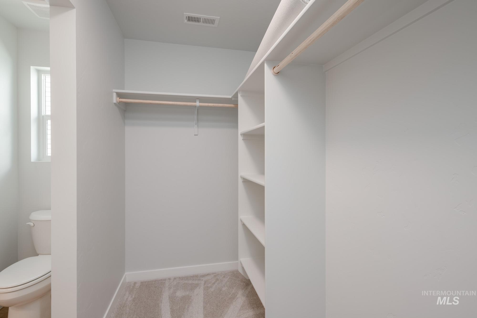 Spacious closet featuring light carpet