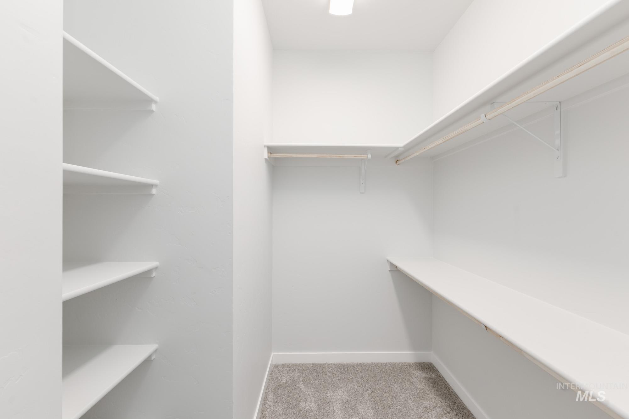 Walk in closet with light colored carpet