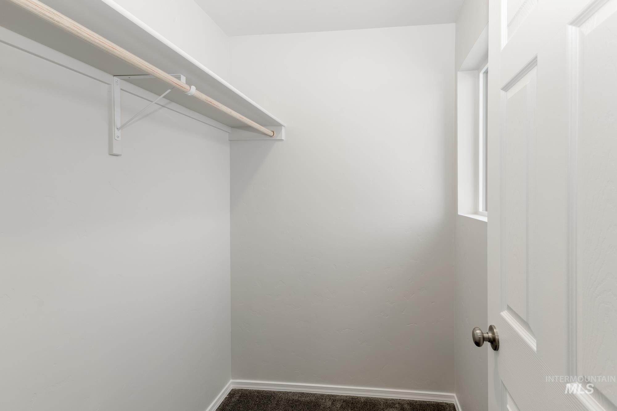 Walk in closet with carpet floors