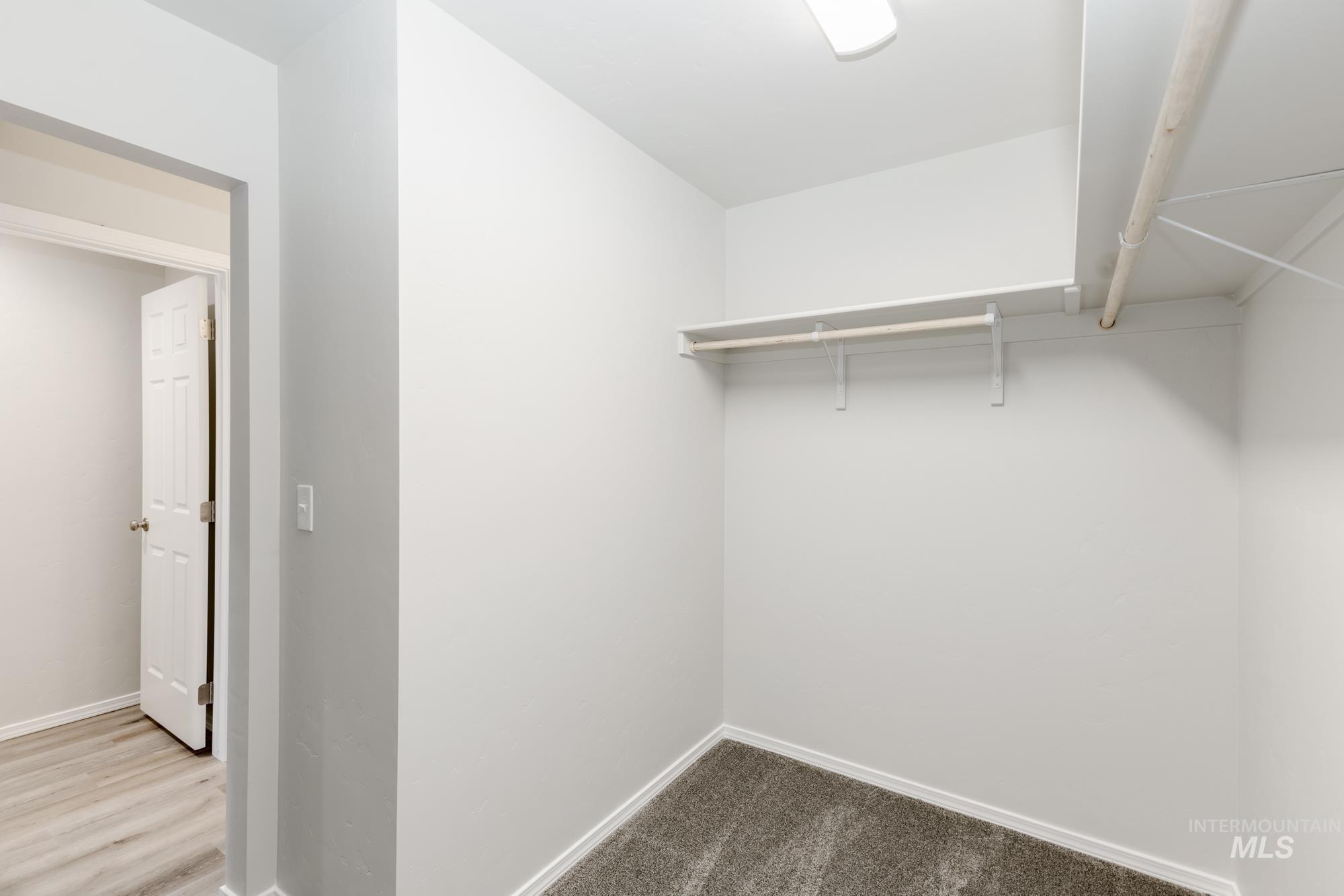 Spacious closet featuring carpet floors