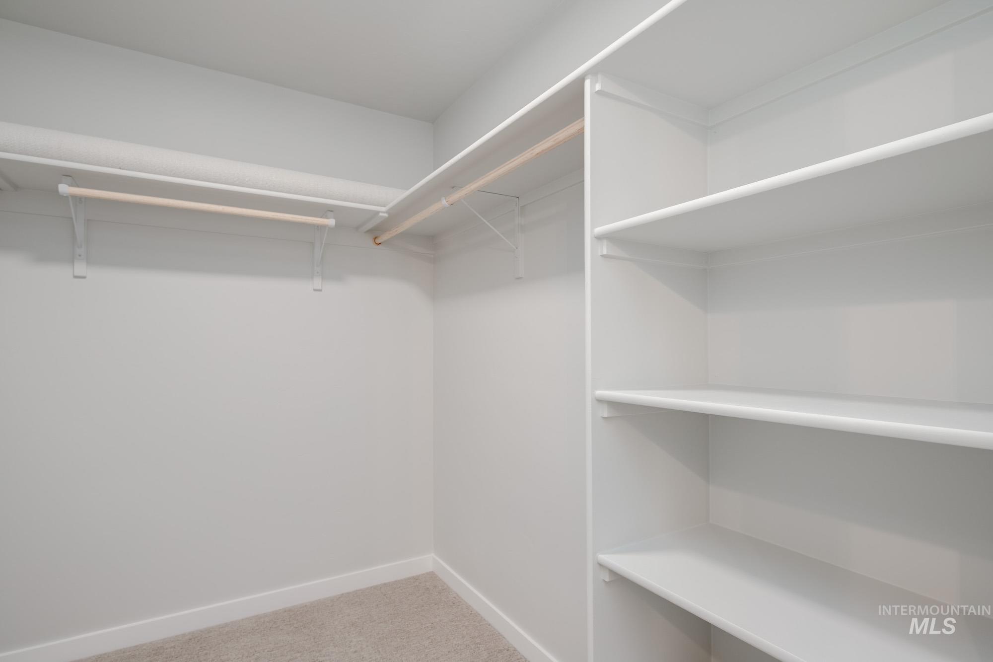 Spacious closet featuring light carpet