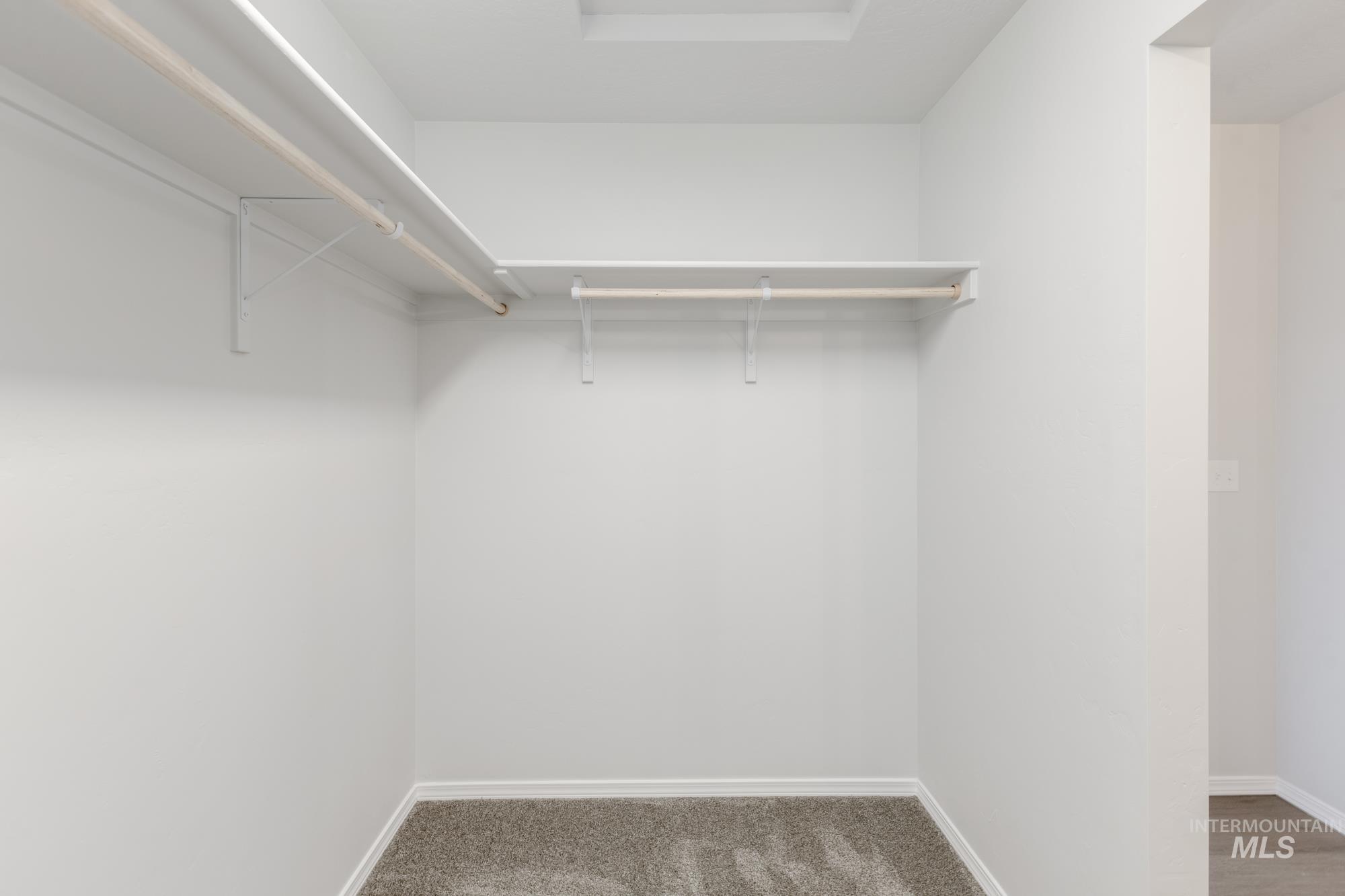 Walk in closet with light carpet