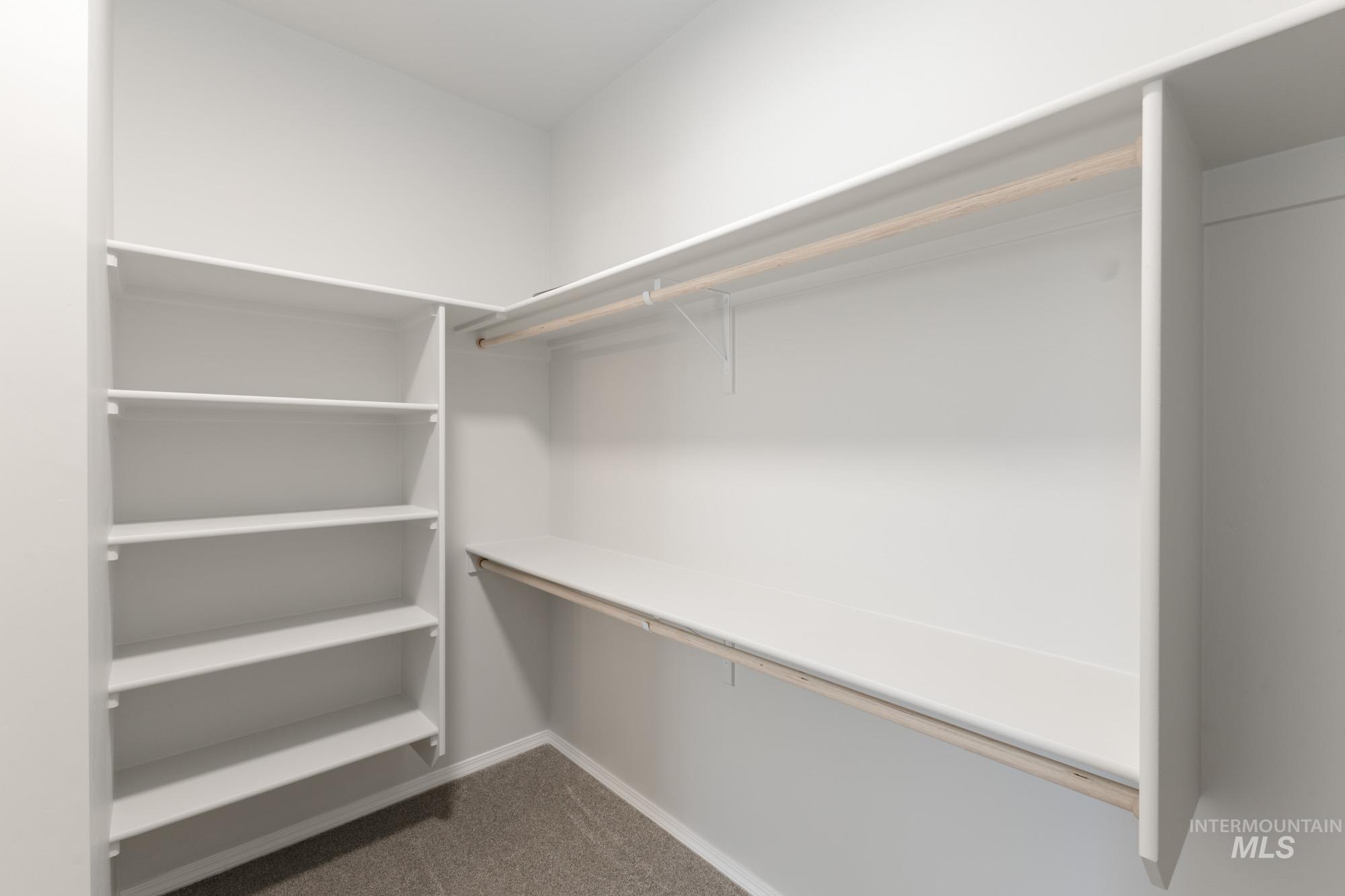 Spacious closet with dark colored carpet