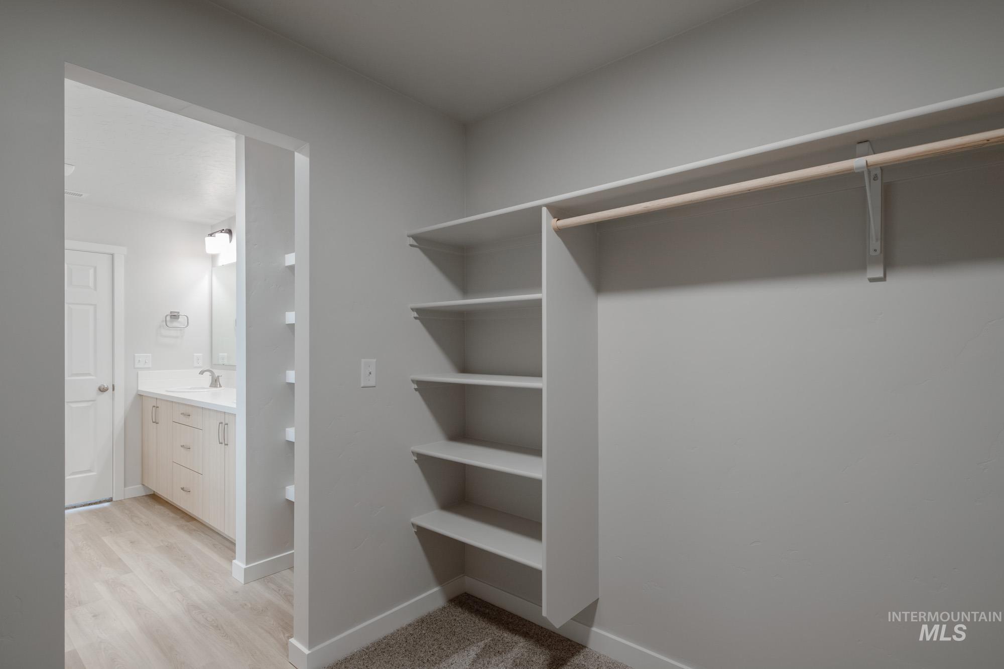 Spacious closet featuring light wood-style floors