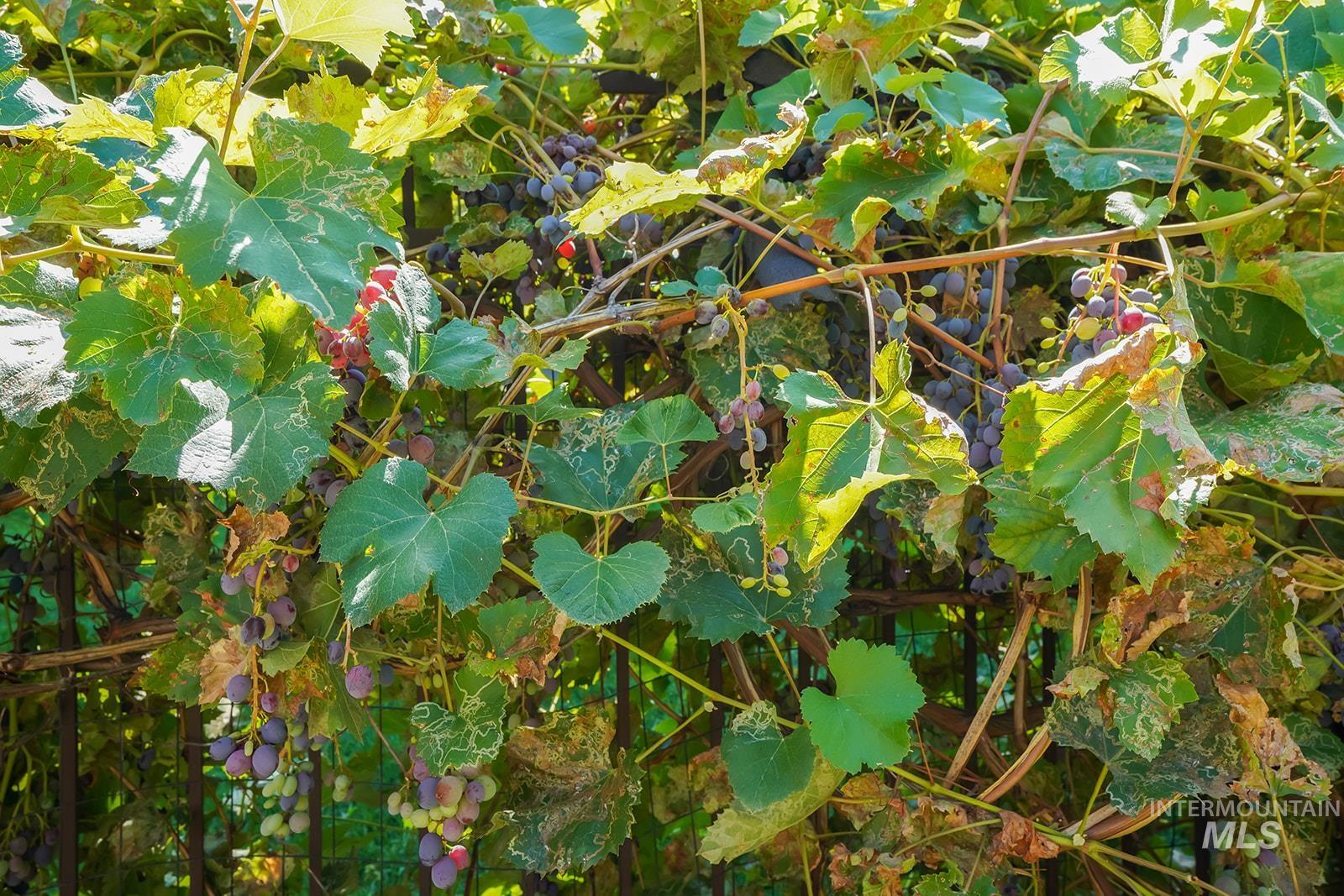 5327 N Red Hills Pl., Meridian, Idaho 83646, 4 Bedrooms, 2.5 Bathrooms, Residential For Sale, Price $699,999,MLS 98970593