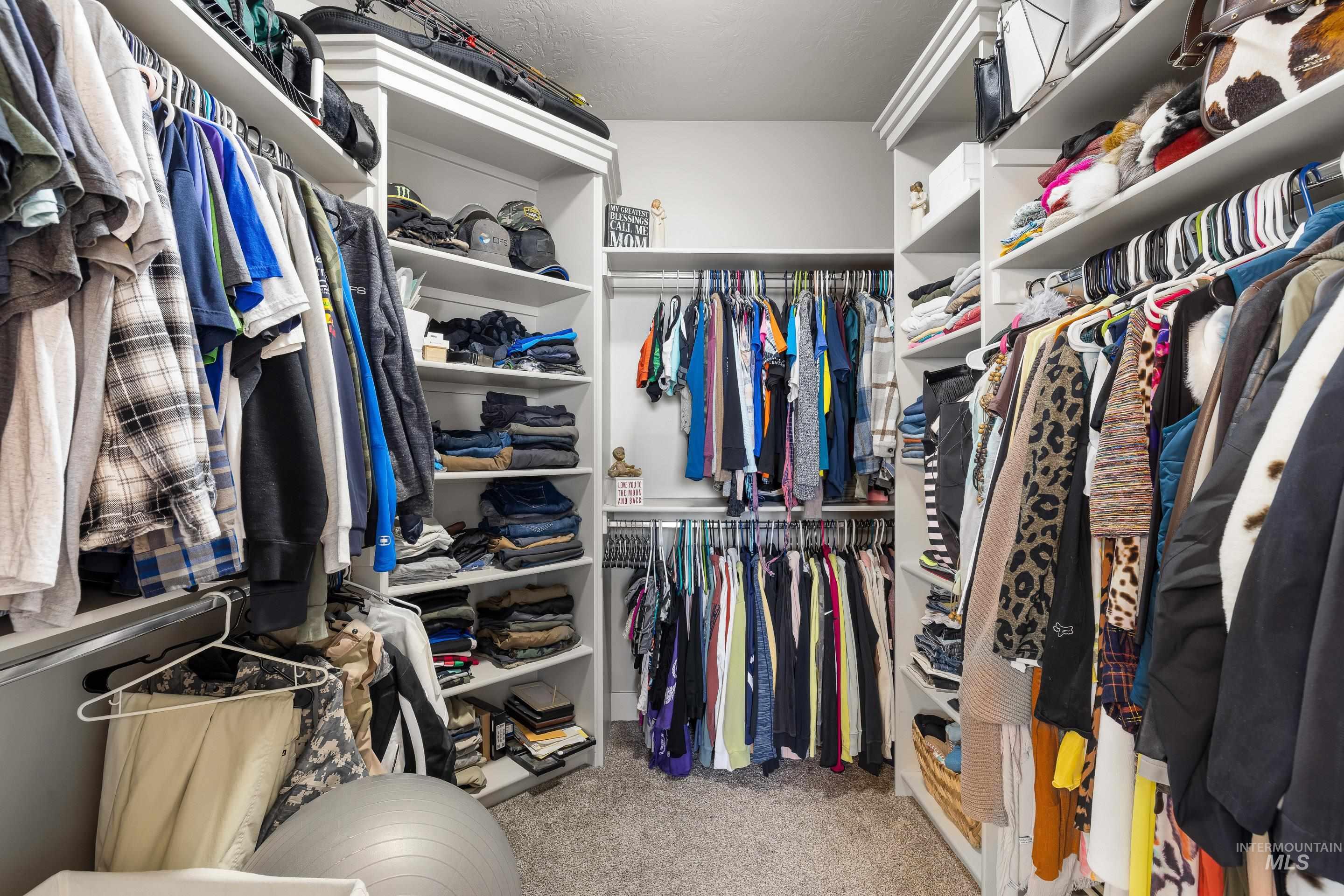Spacious closet featuring light carpet