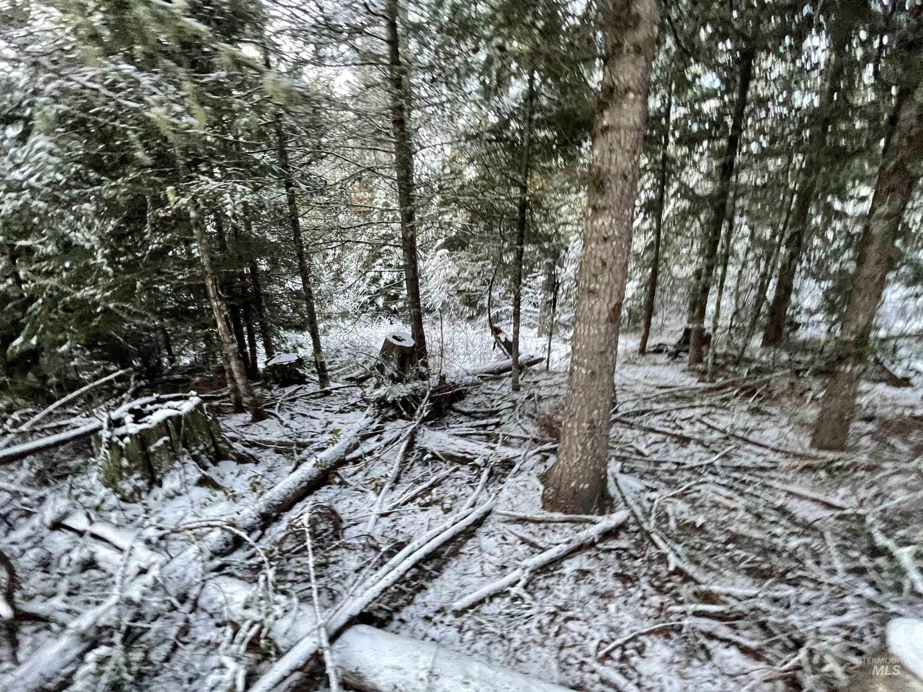 NKA Hwy 8, Helmer, Idaho 83823, Land For Sale, Price $77,000, 98970611