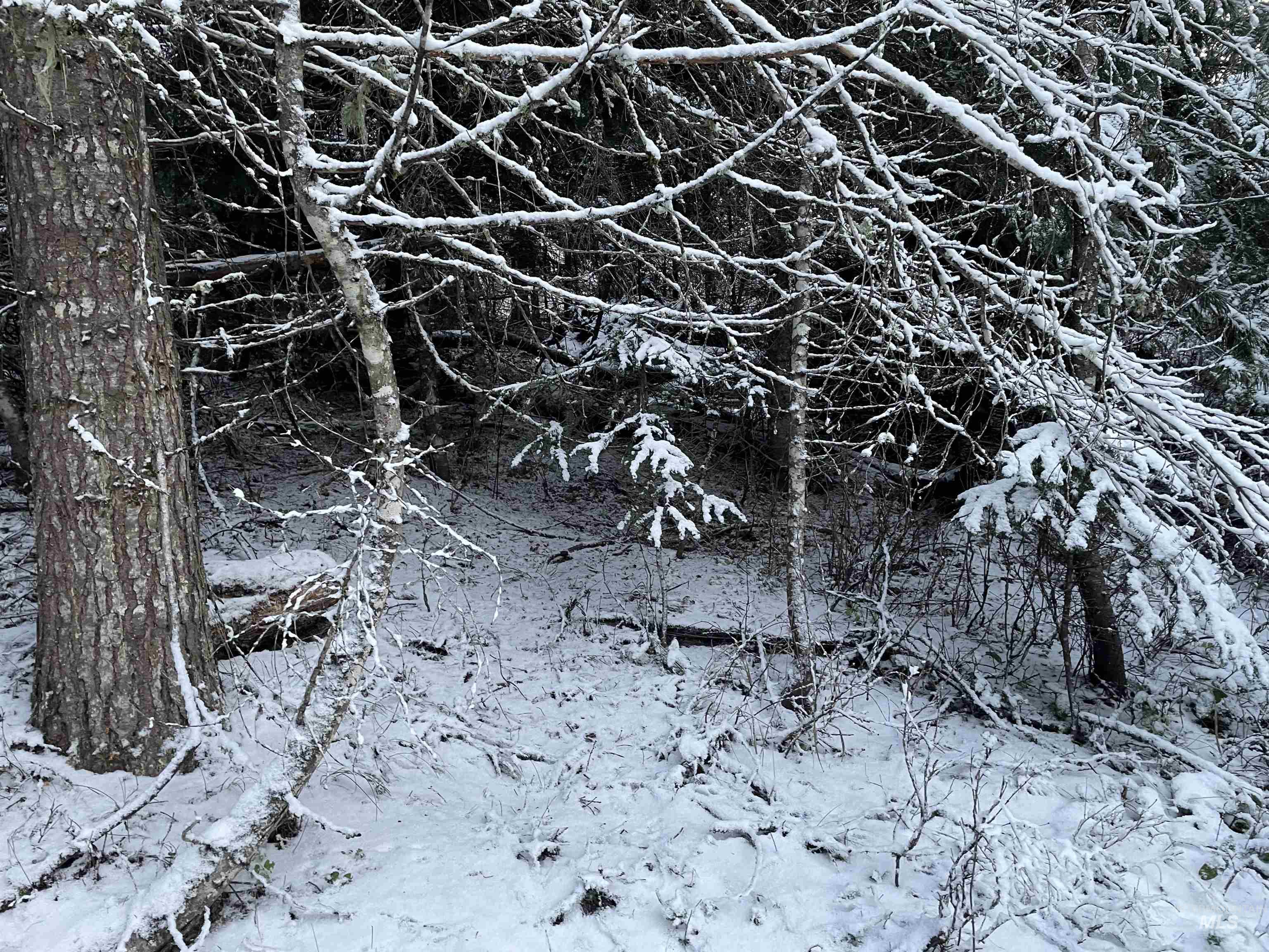 NKA Hwy 8, Helmer, Idaho 83823, Land For Sale, Price $77,000, 98970611