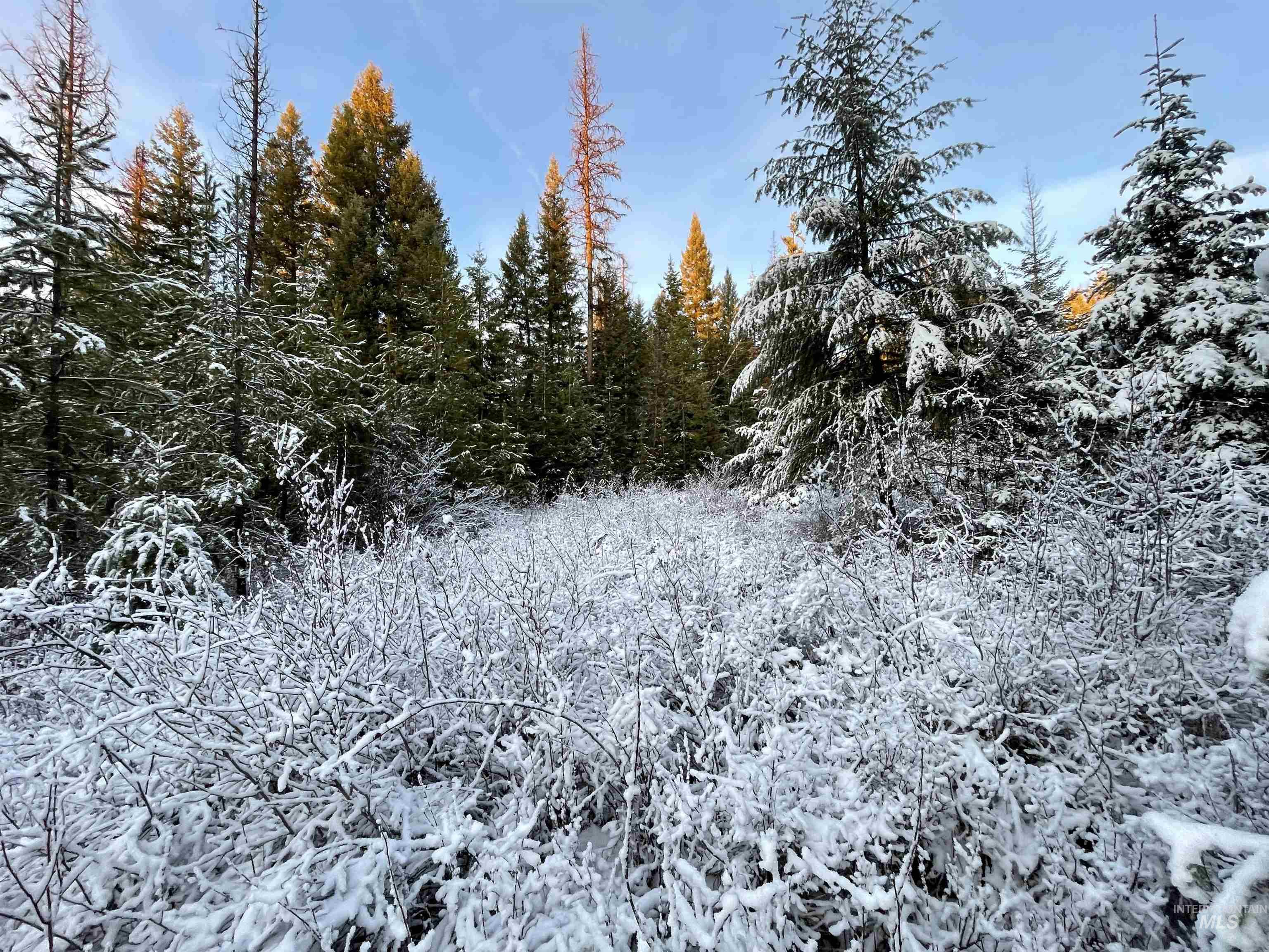 NKA Hwy 8, Helmer, Idaho 83823, Land For Sale, Price $77,000, 98970611