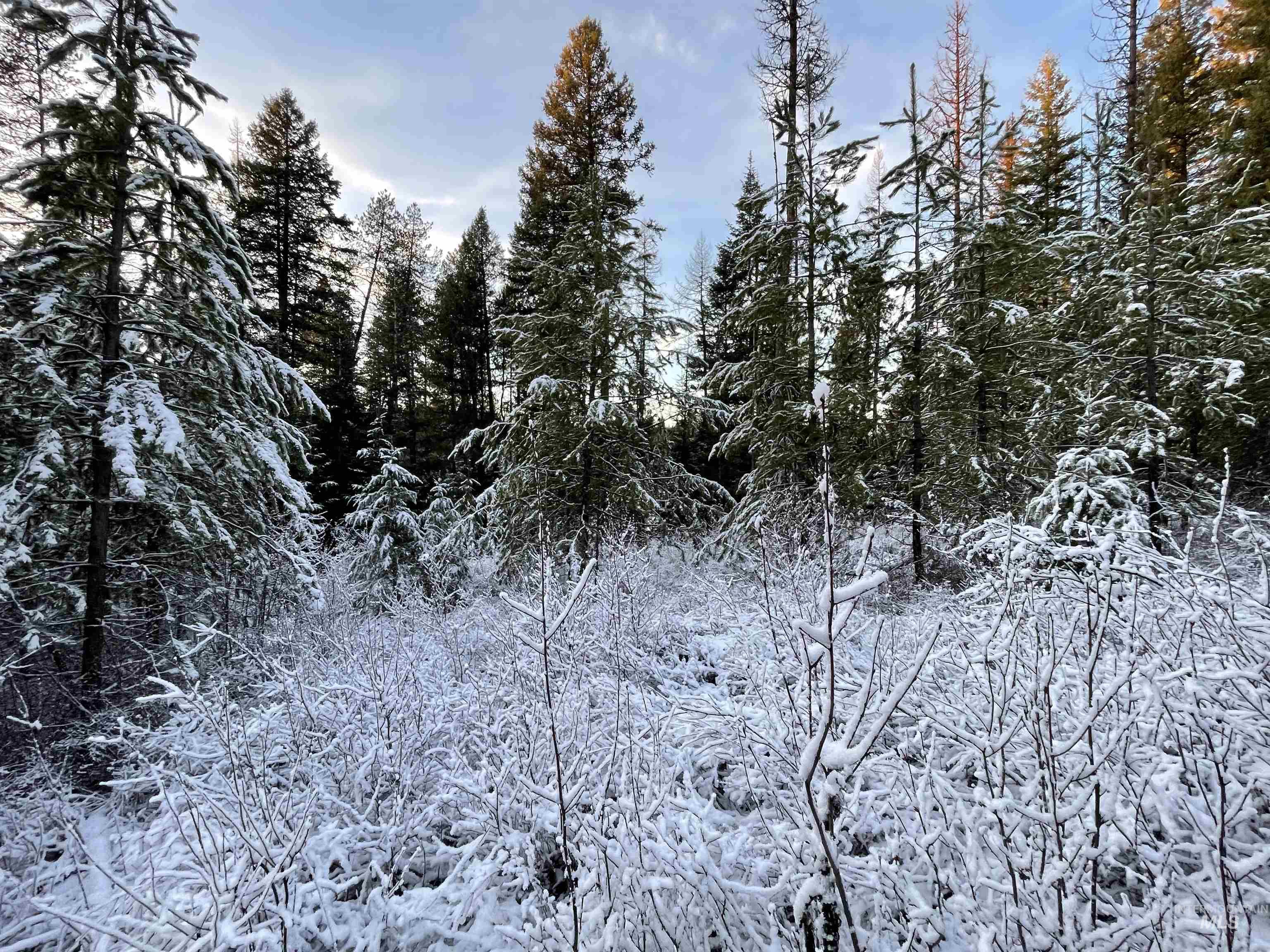 NKA Hwy 8, Helmer, Idaho 83823, Land For Sale, Price $77,000, 98970611