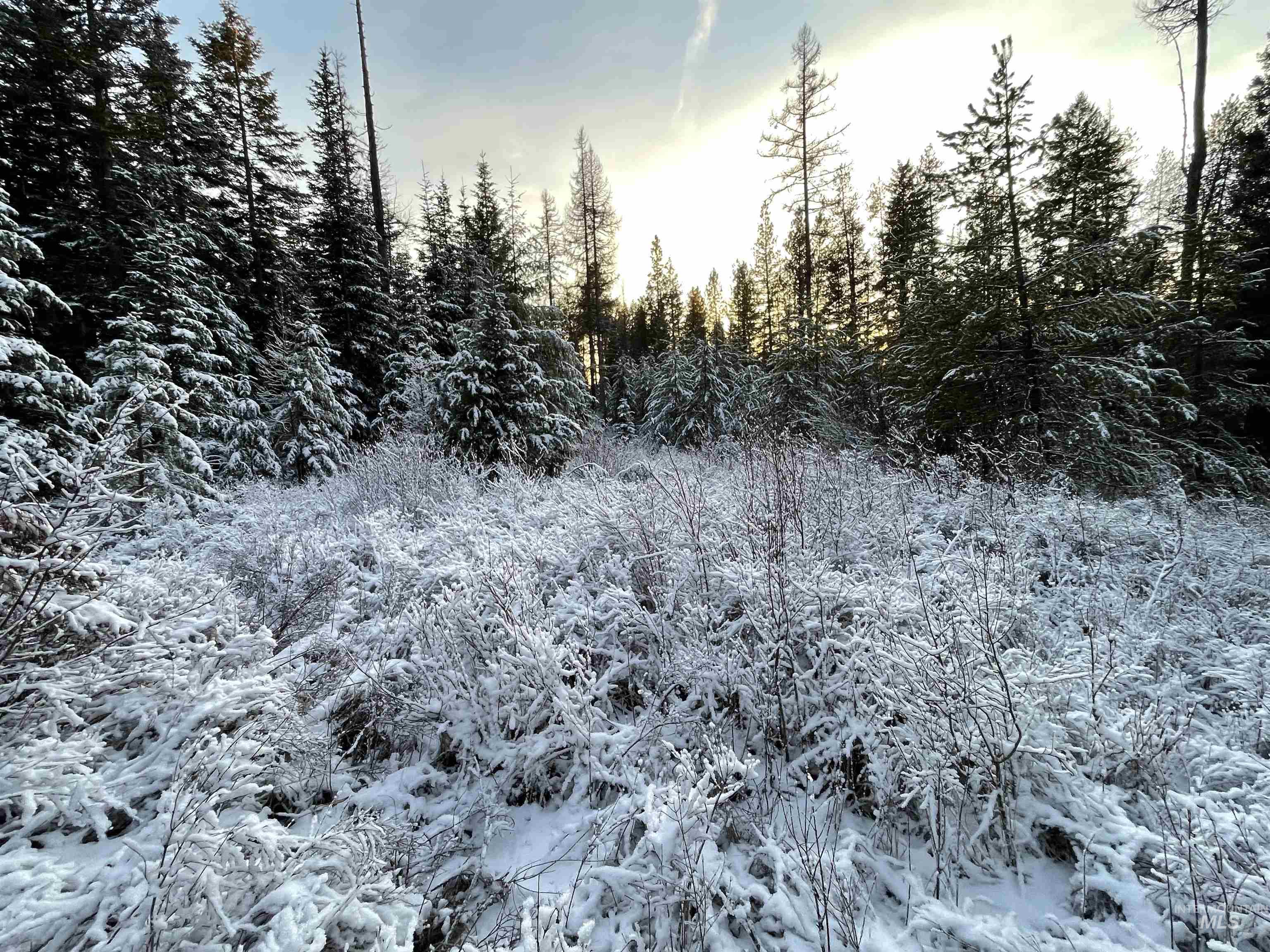 NKA Hwy 8, Helmer, Idaho 83823, Land For Sale, Price $77,000, 98970611