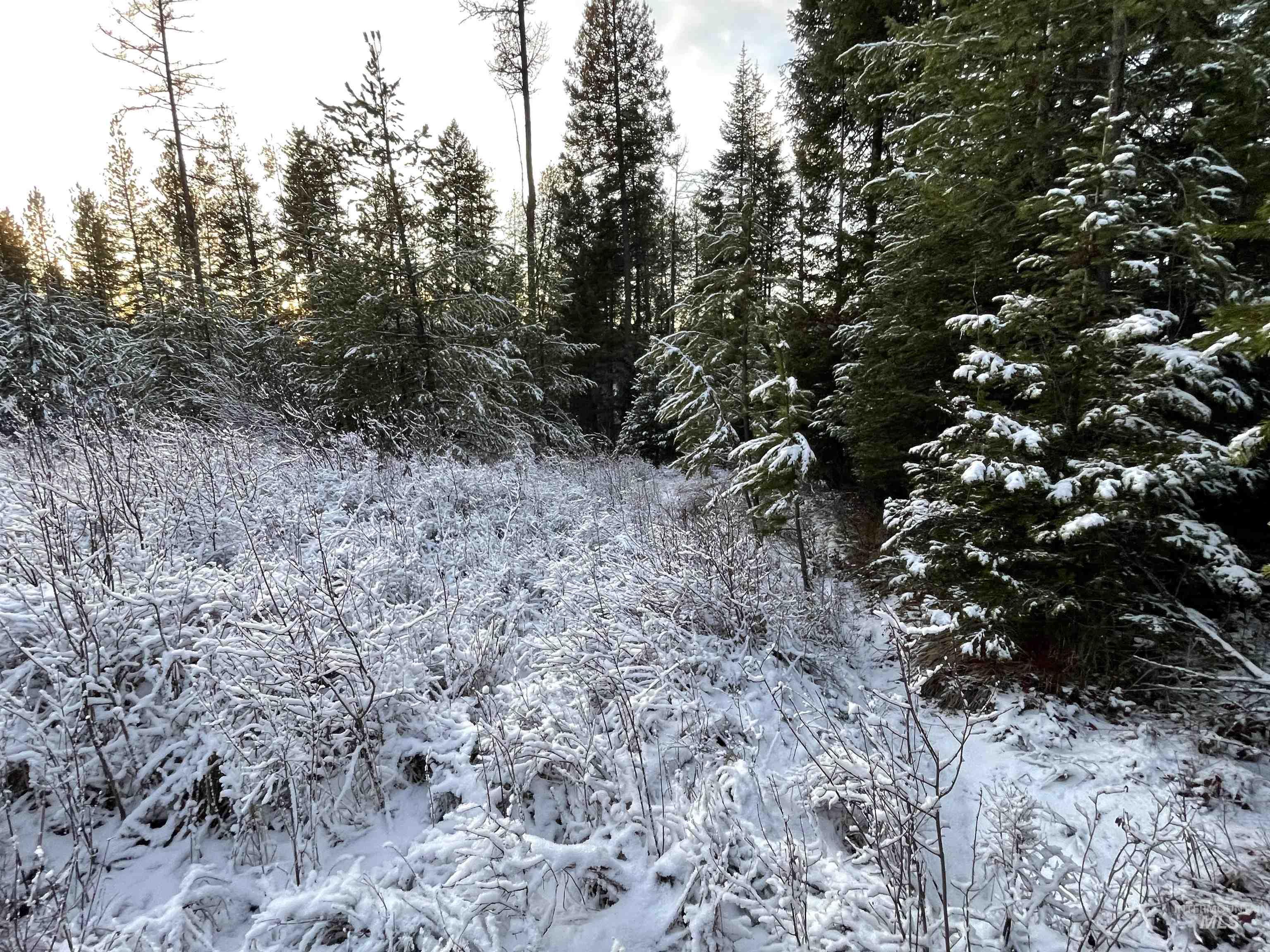 NKA Hwy 8, Helmer, Idaho 83823, Land For Sale, Price $77,000, 98970611