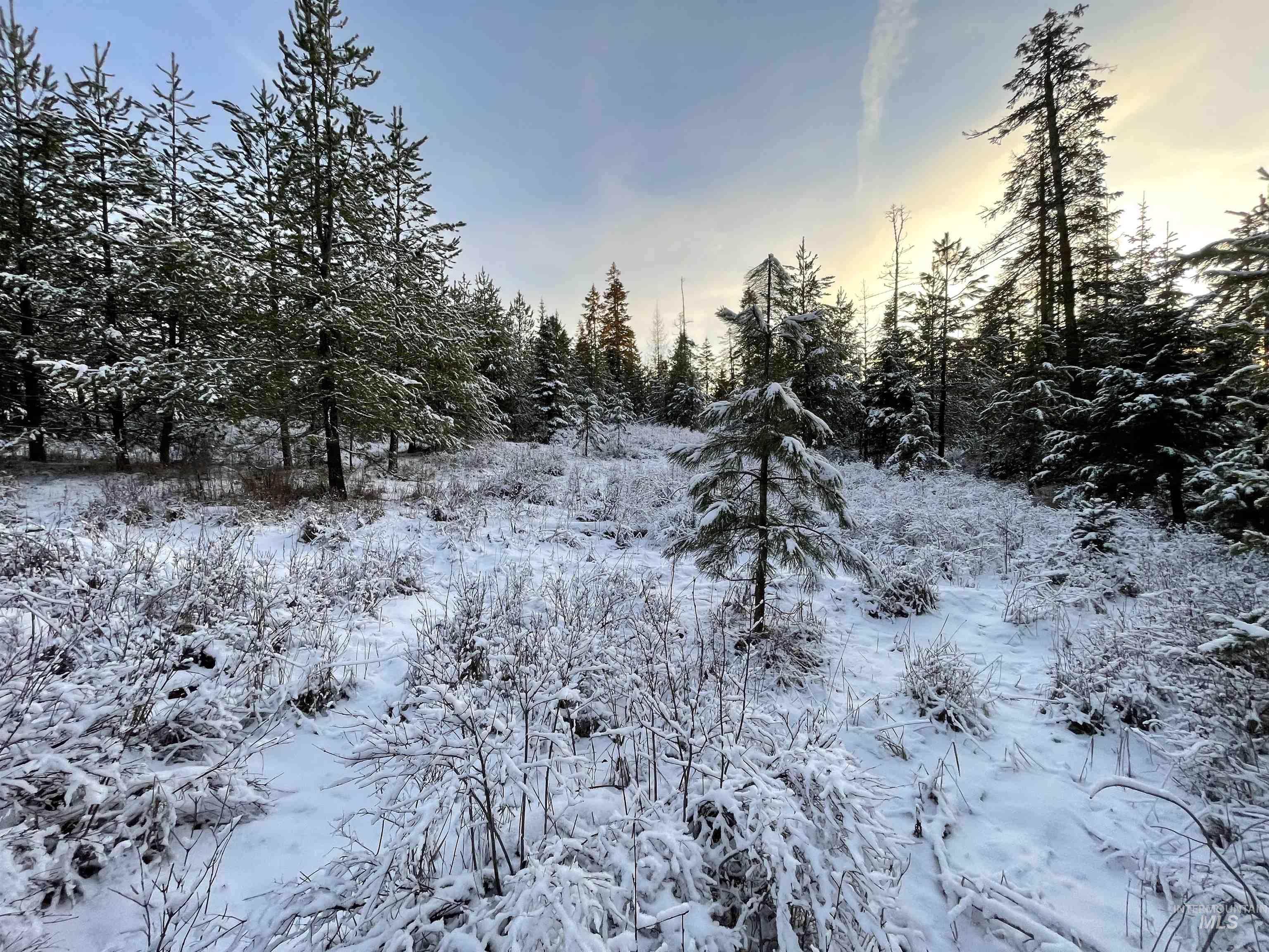 5580 Hwy 8, Helmer, Idaho 83823, 2 Bedrooms, 1 Bathroom, Residential For Sale, Price $325,000, 98970612