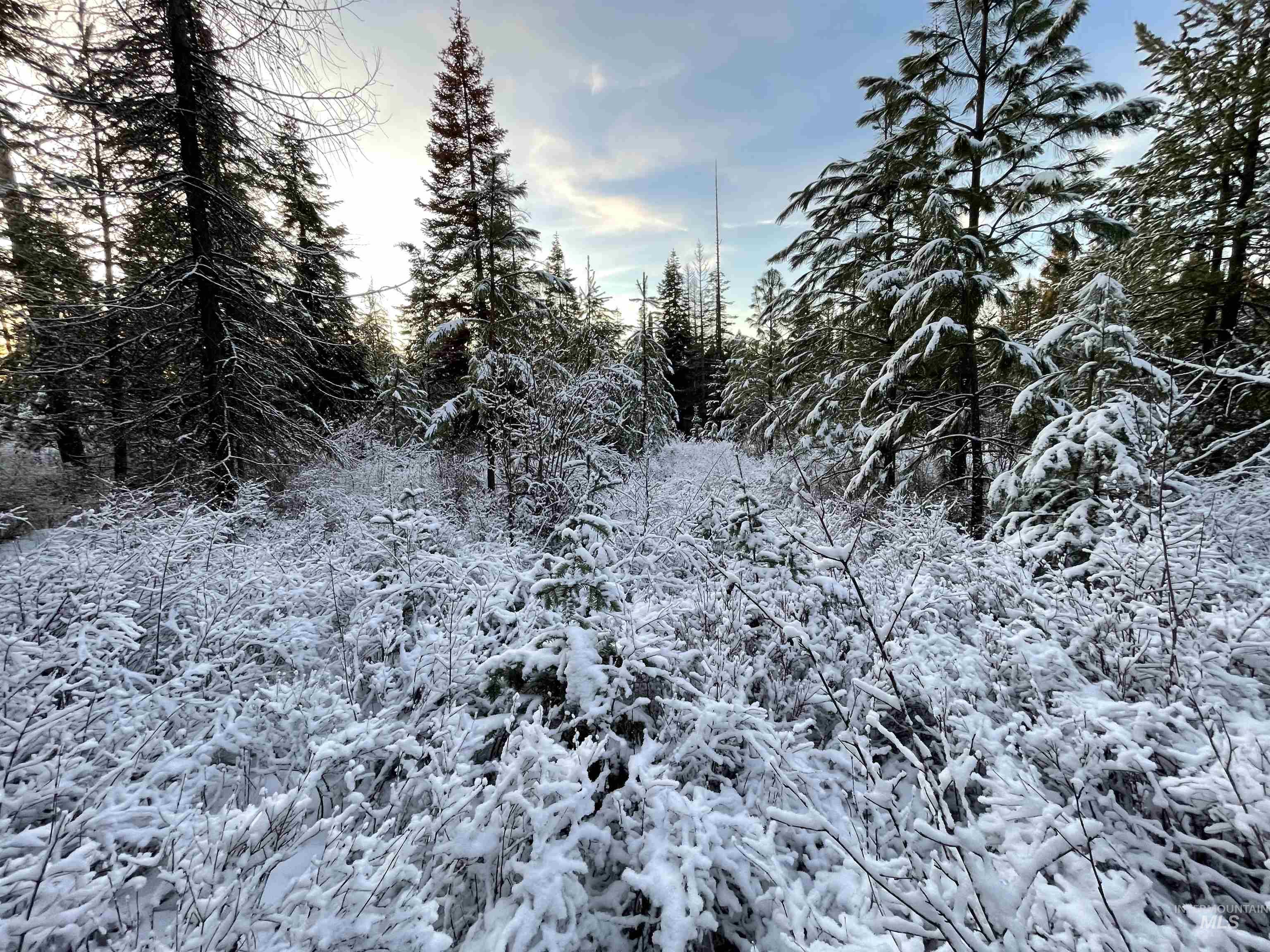 5580 Hwy 8, Helmer, Idaho 83823, 2 Bedrooms, 1 Bathroom, Residential For Sale, Price $325,000, 98970612