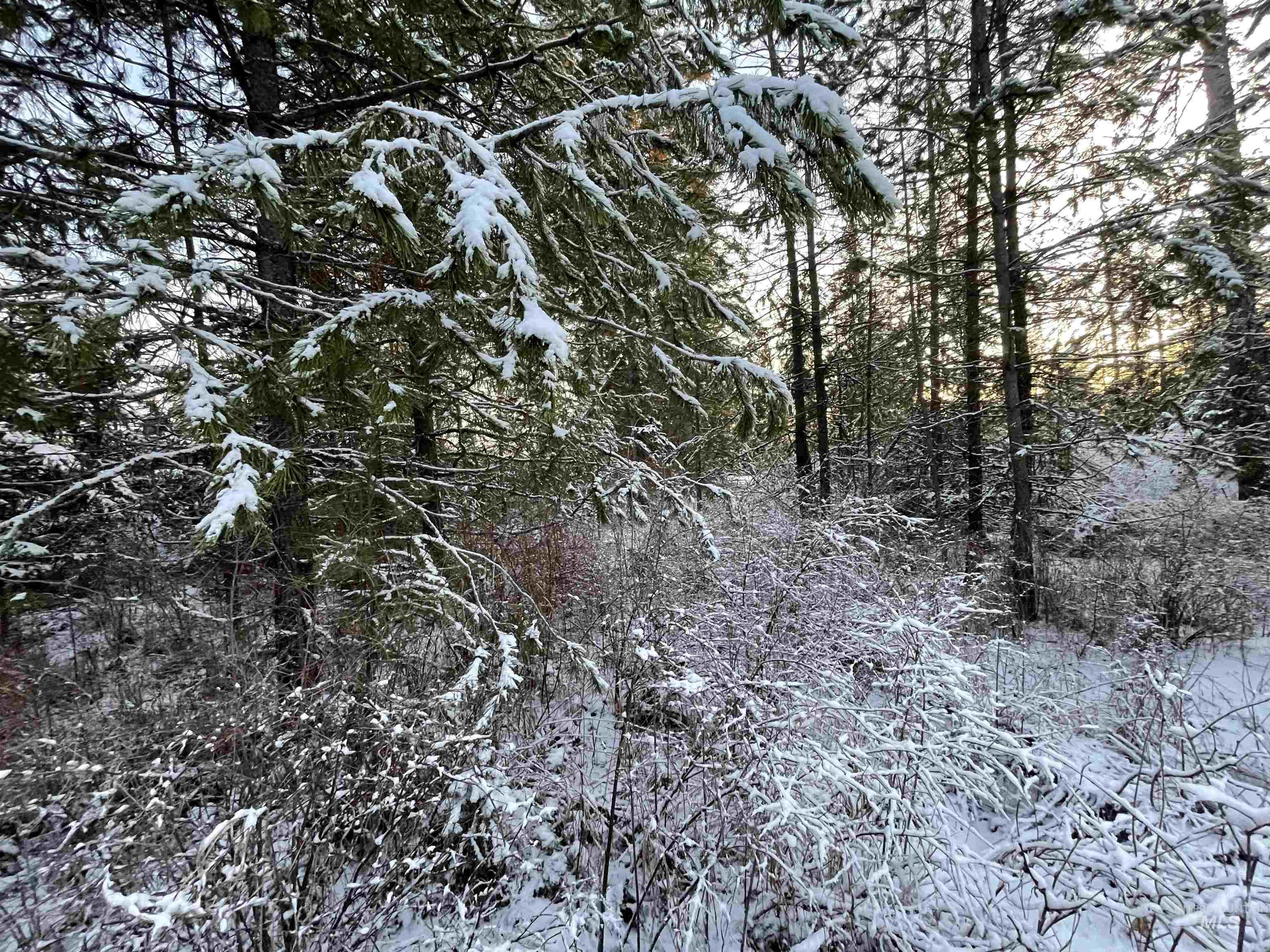 5580 Hwy 8, Helmer, Idaho 83823, 2 Bedrooms, 1 Bathroom, Residential For Sale, Price $325,000, 98970612