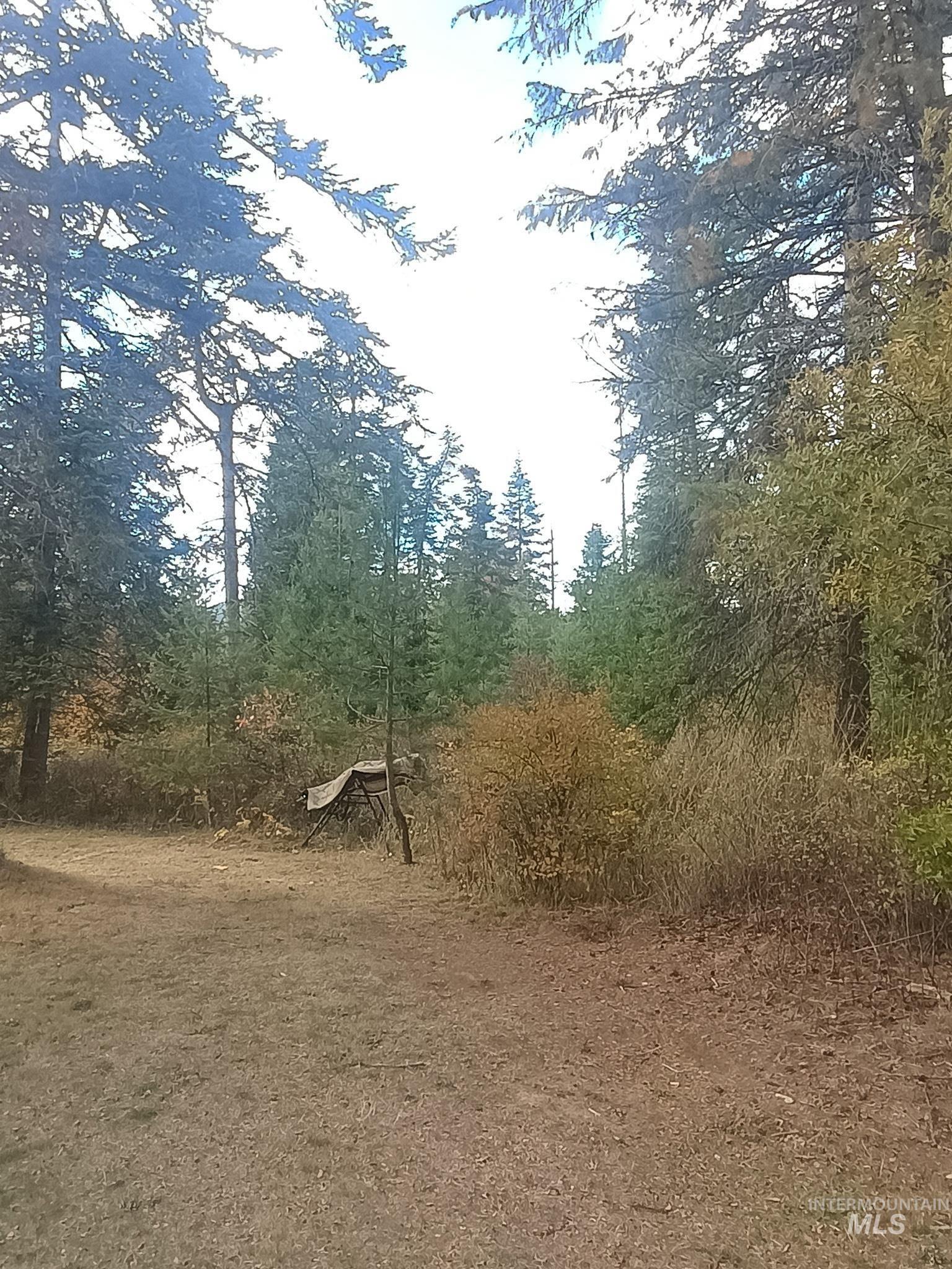 5580 Hwy 8, Helmer, Idaho 83823, 2 Bedrooms, 1 Bathroom, Residential For Sale, Price $325,000, 98970612