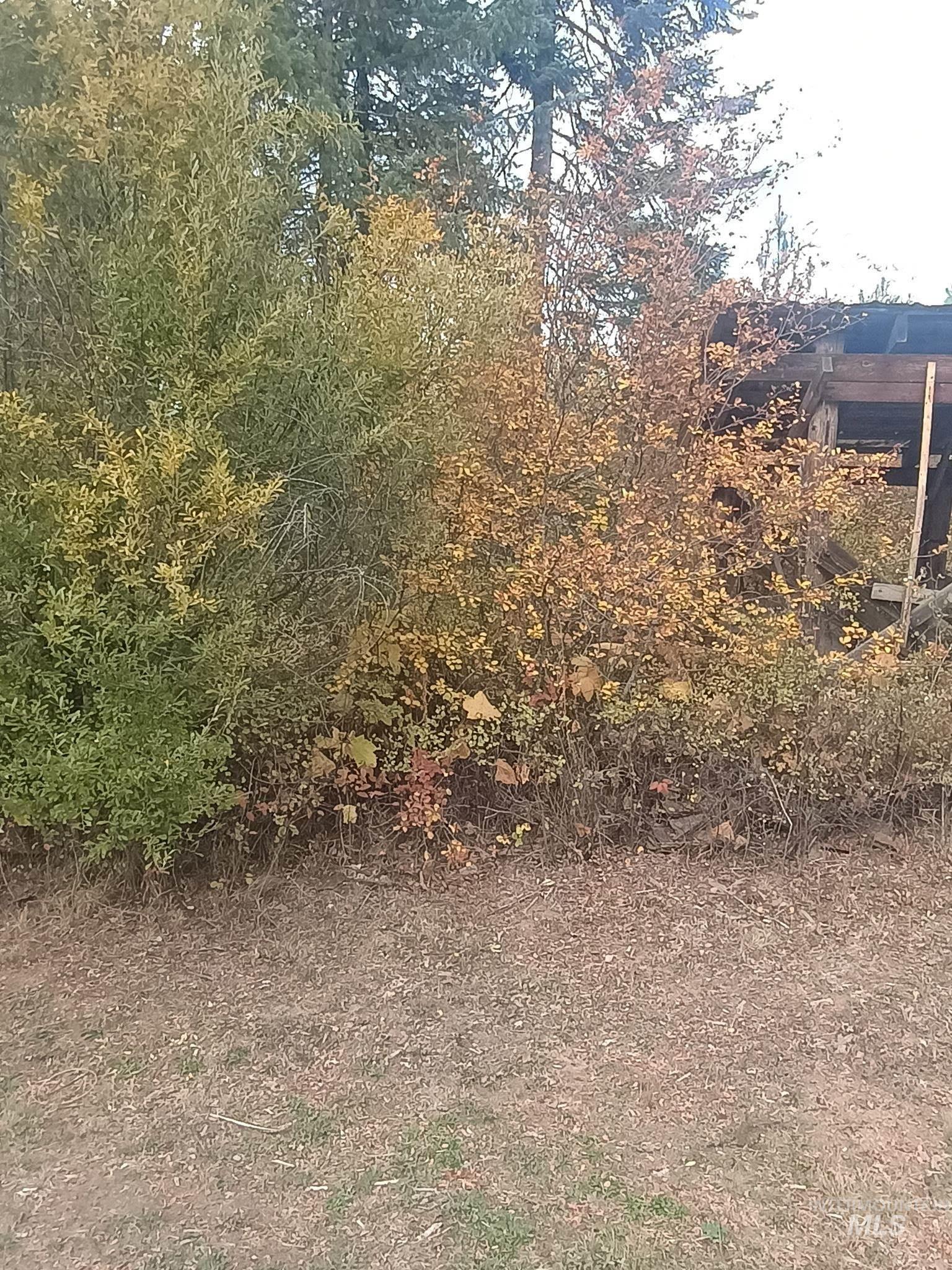 5580 Hwy 8, Helmer, Idaho 83823, 2 Bedrooms, 1 Bathroom, Residential For Sale, Price $325,000, 98970612