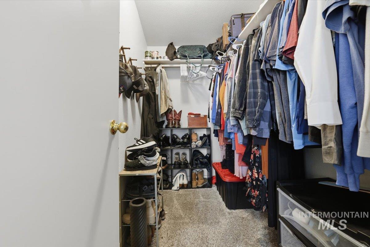 Spacious closet featuring carpet flooring