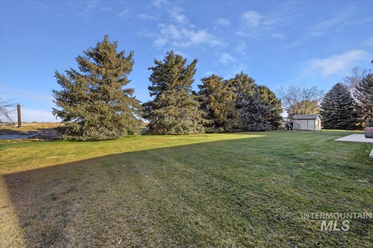 View of green lawn with an outbuilding