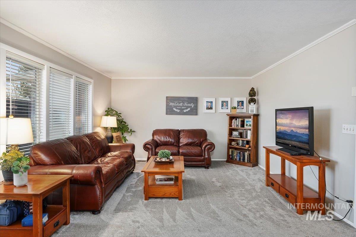 Living area with ornamental molding, carpet floors, and a textured ceiling
