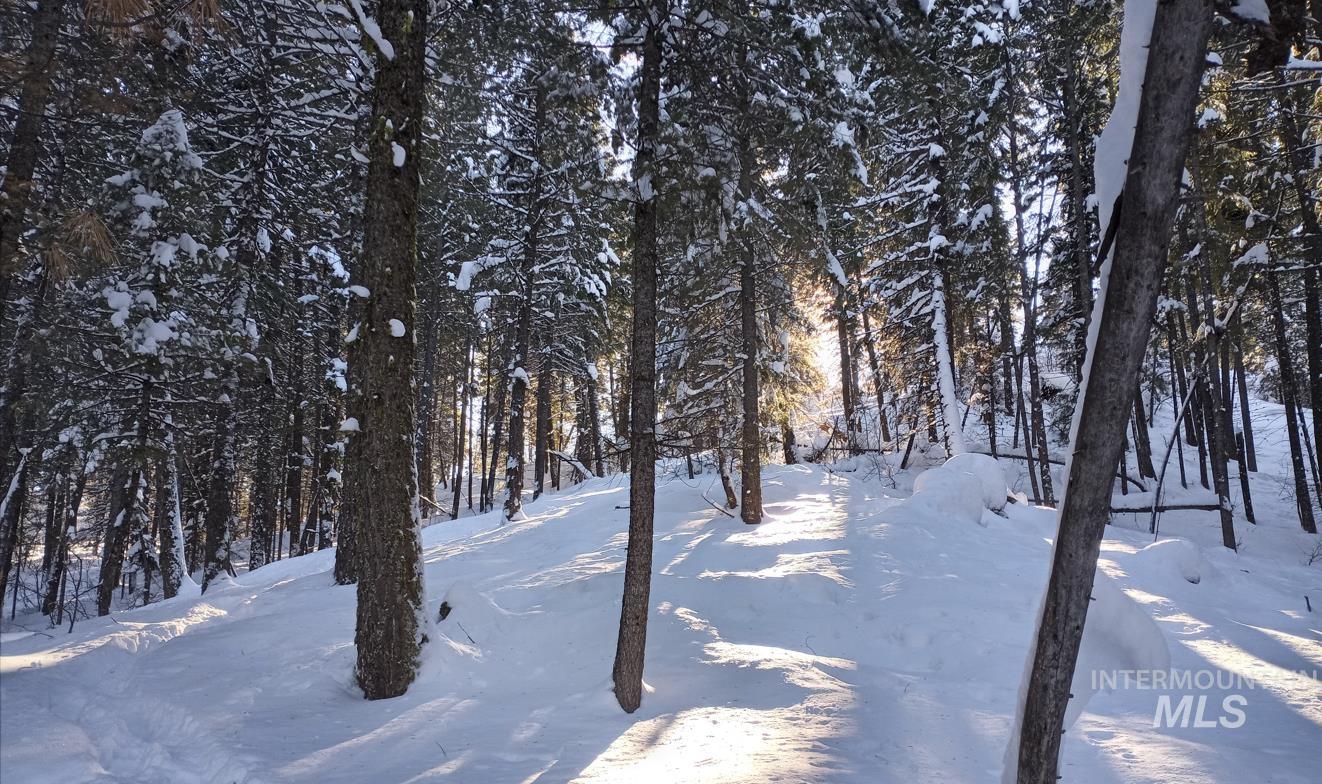 TBD - 380 Clear Creek Road, Boise, Idaho 83716, Land For Sale, Price $777,777, 98970657