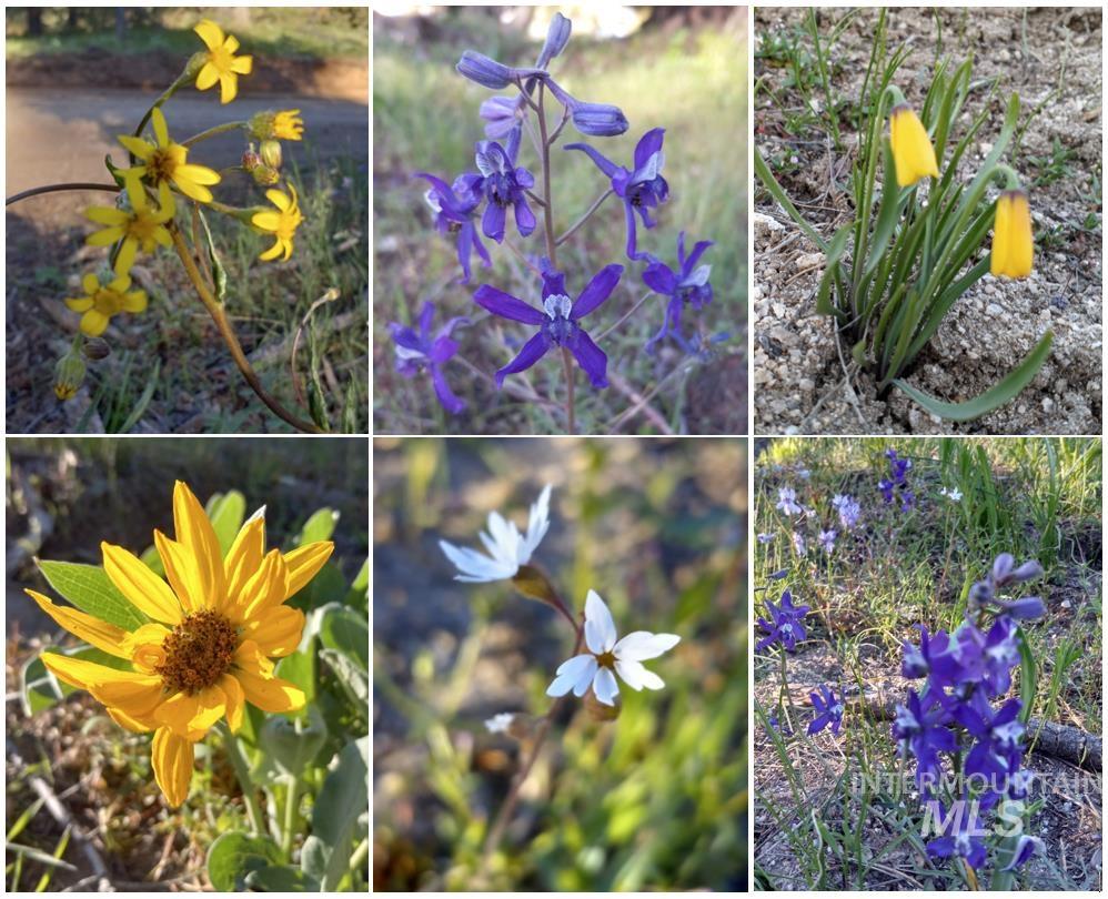 TBD - 380 Clear Creek Road, Boise, Idaho 83716, Land For Sale, Price $777,777, 98970657