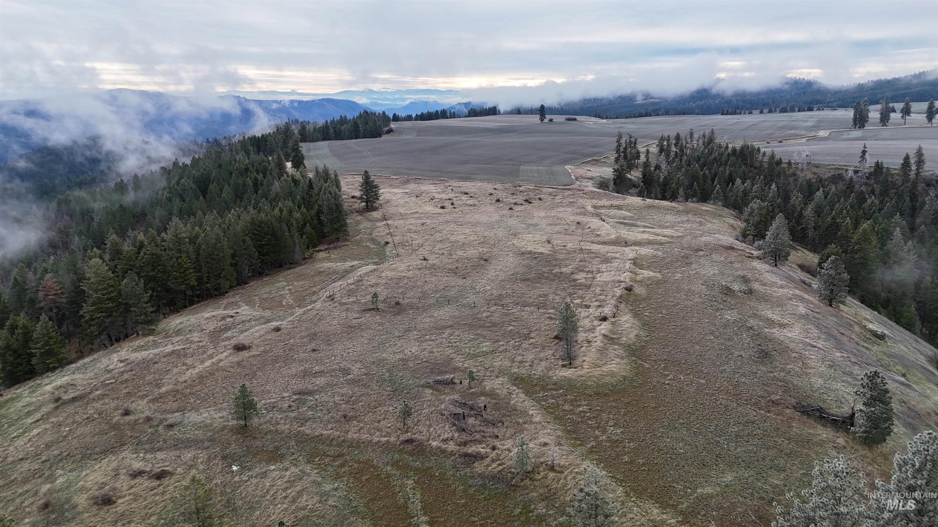 Aerial view of sparsely populated area