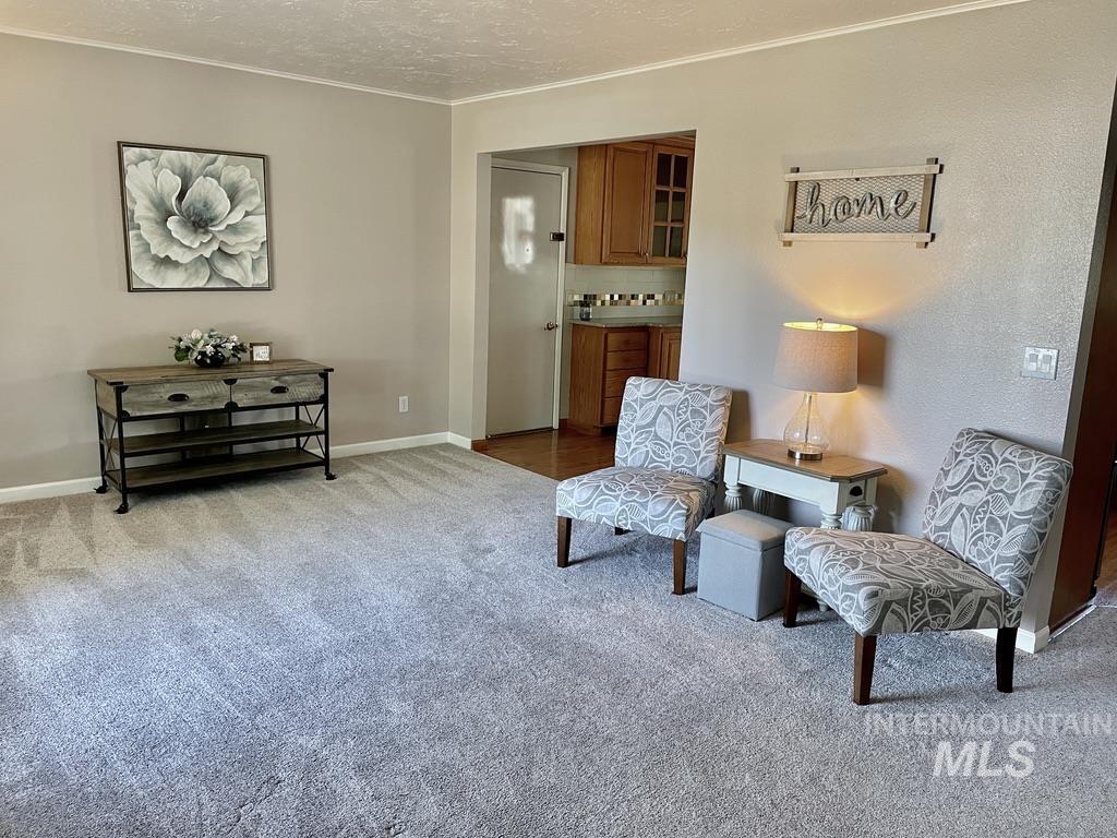 Living area featuring light colored carpet, a textured ceiling, and ornamental molding