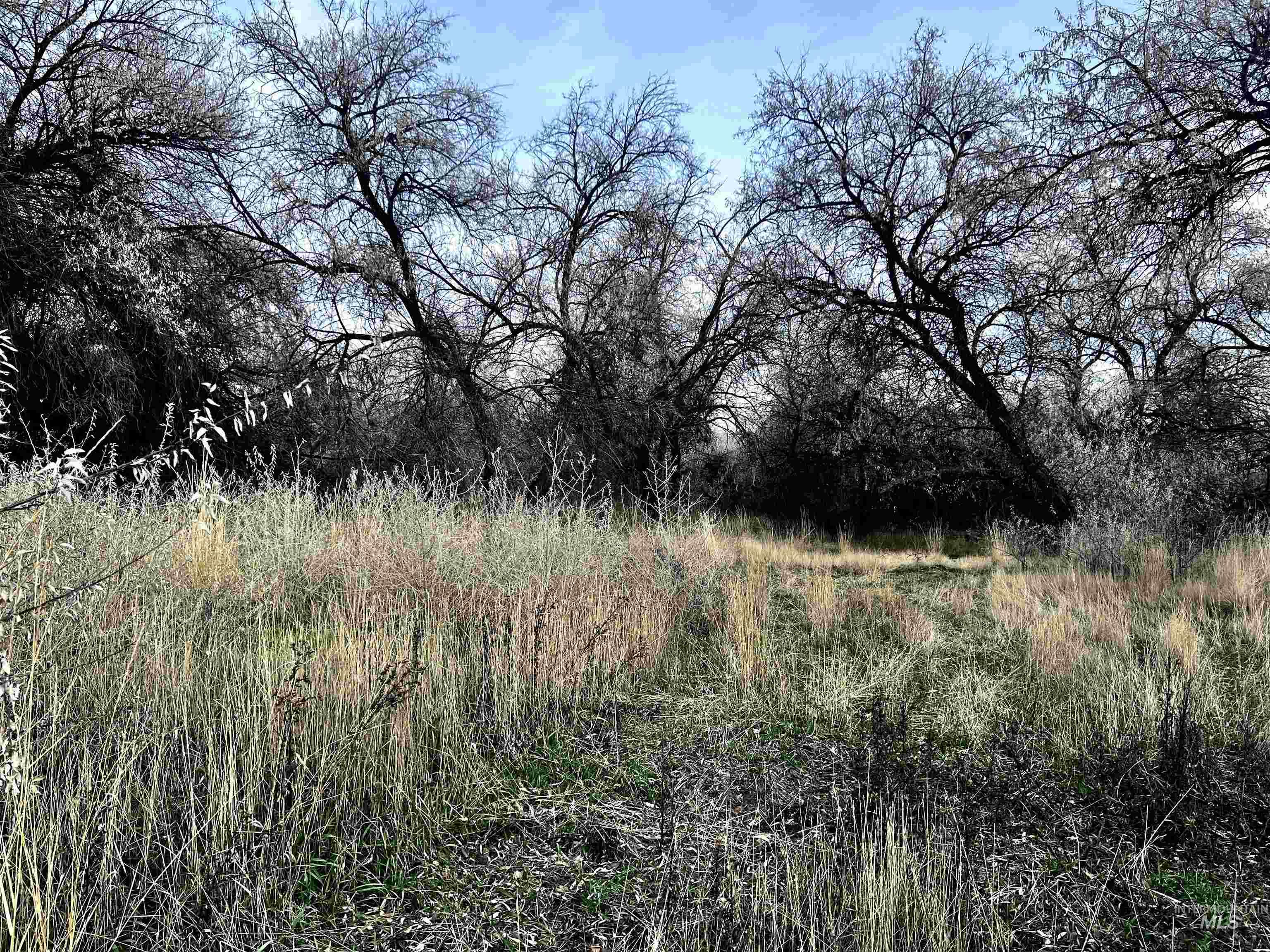 View of undeveloped land