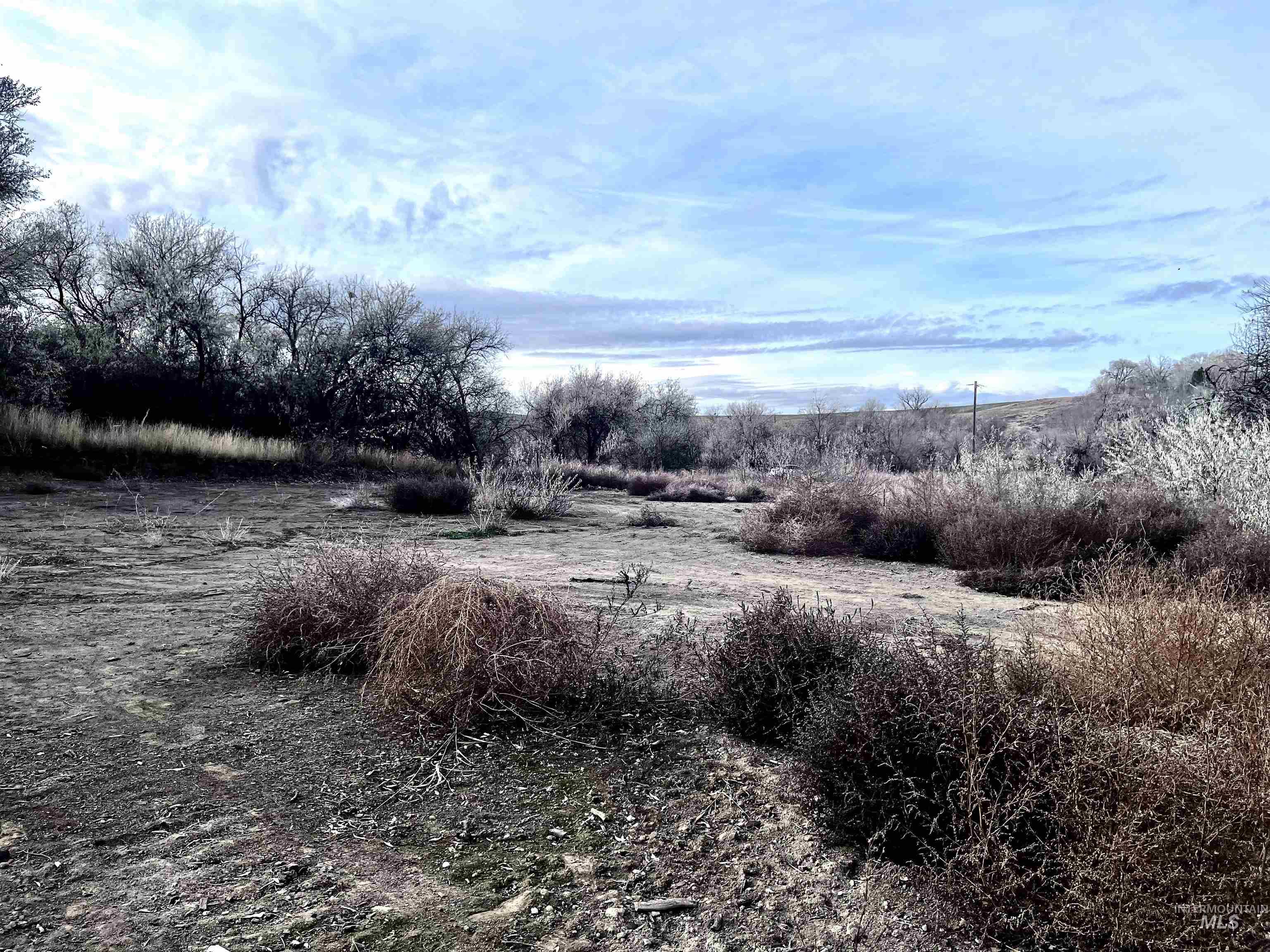 View of local wilderness