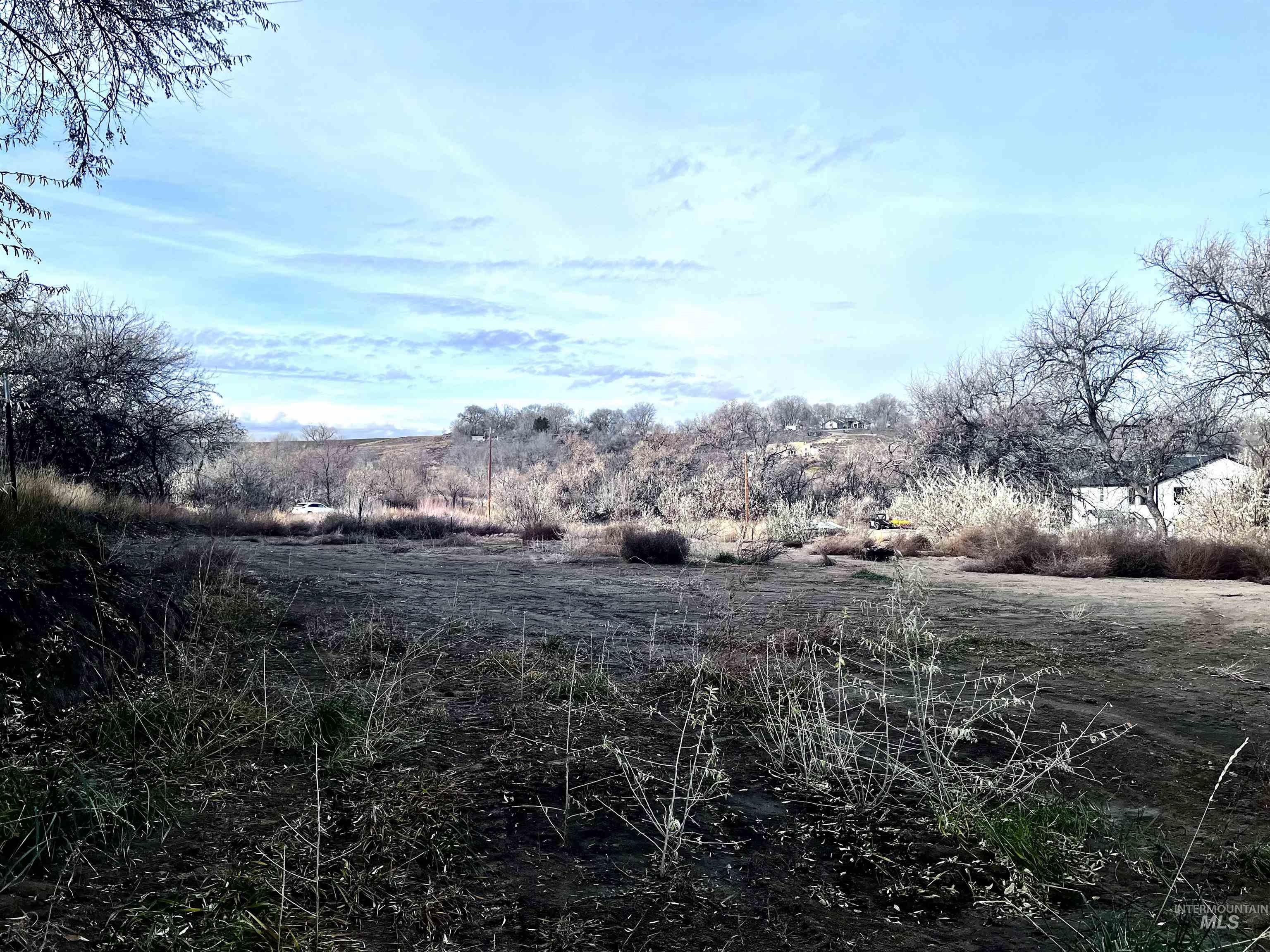 View of undeveloped land
