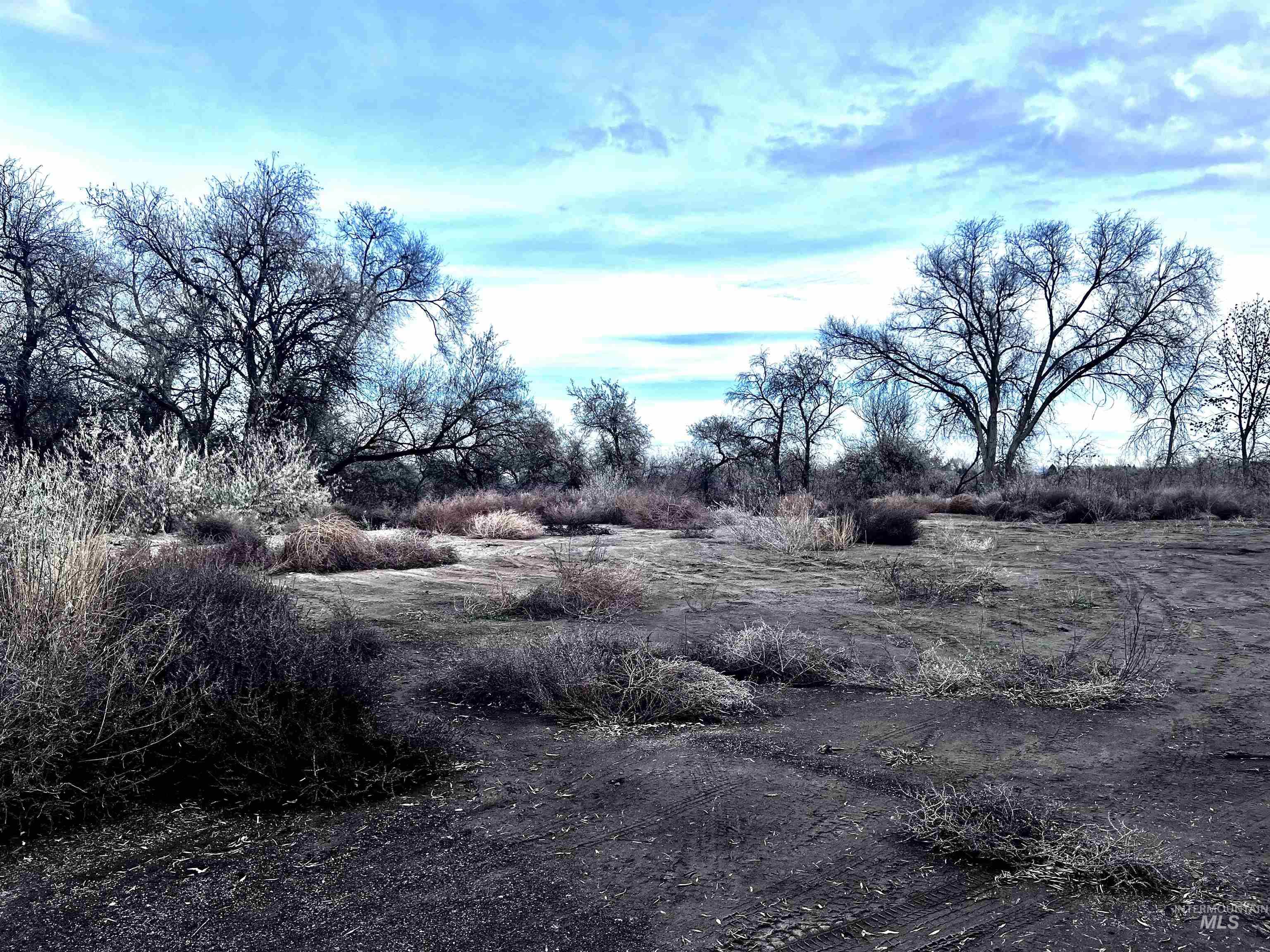 View of undeveloped land