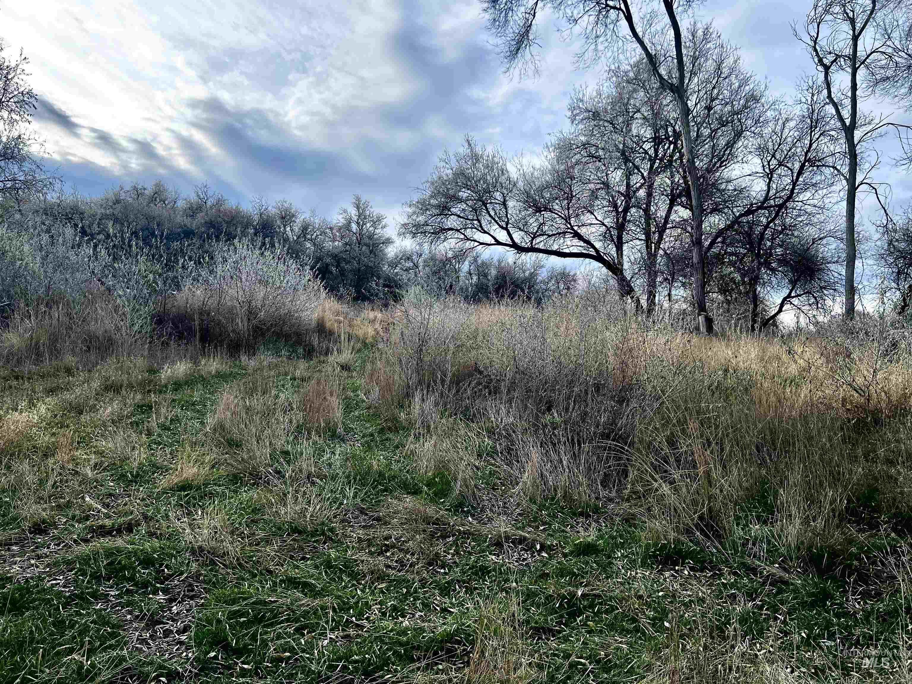 View of undeveloped land