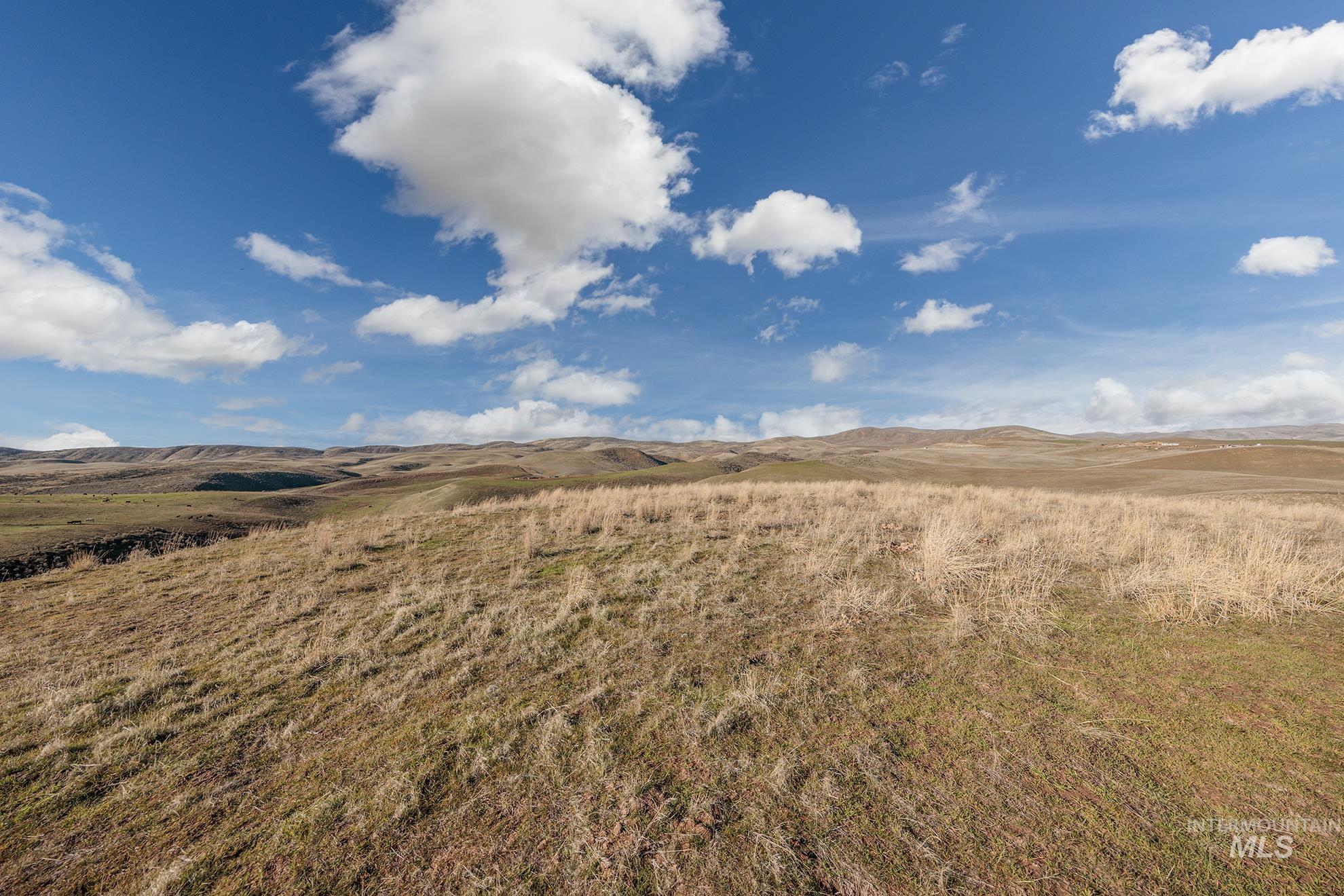 985 Hwy 95, Weiser, Idaho 83672, 3 Bedrooms, 2 Bathrooms, Residential For Sale, Price $1,100,000, 98970691