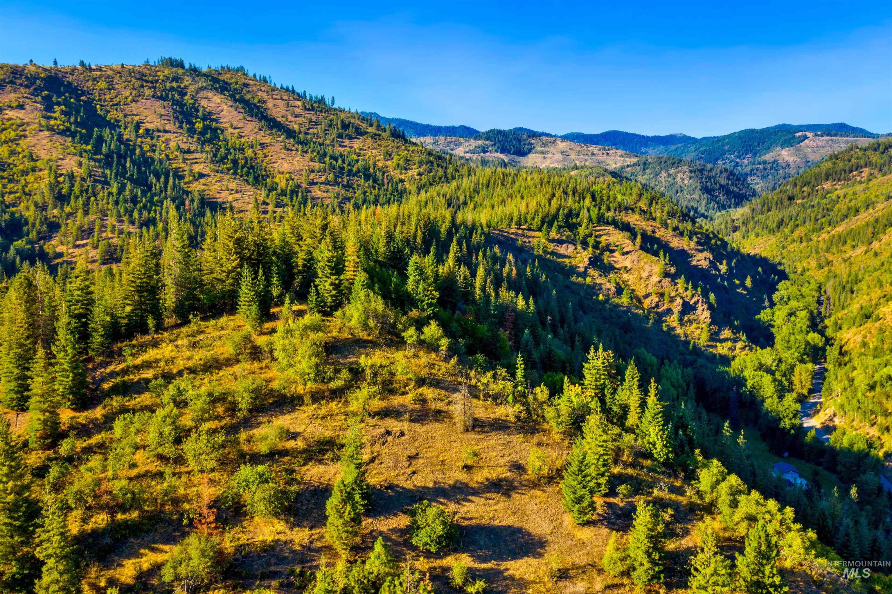 Aerial looking north with National Forest Lands in background