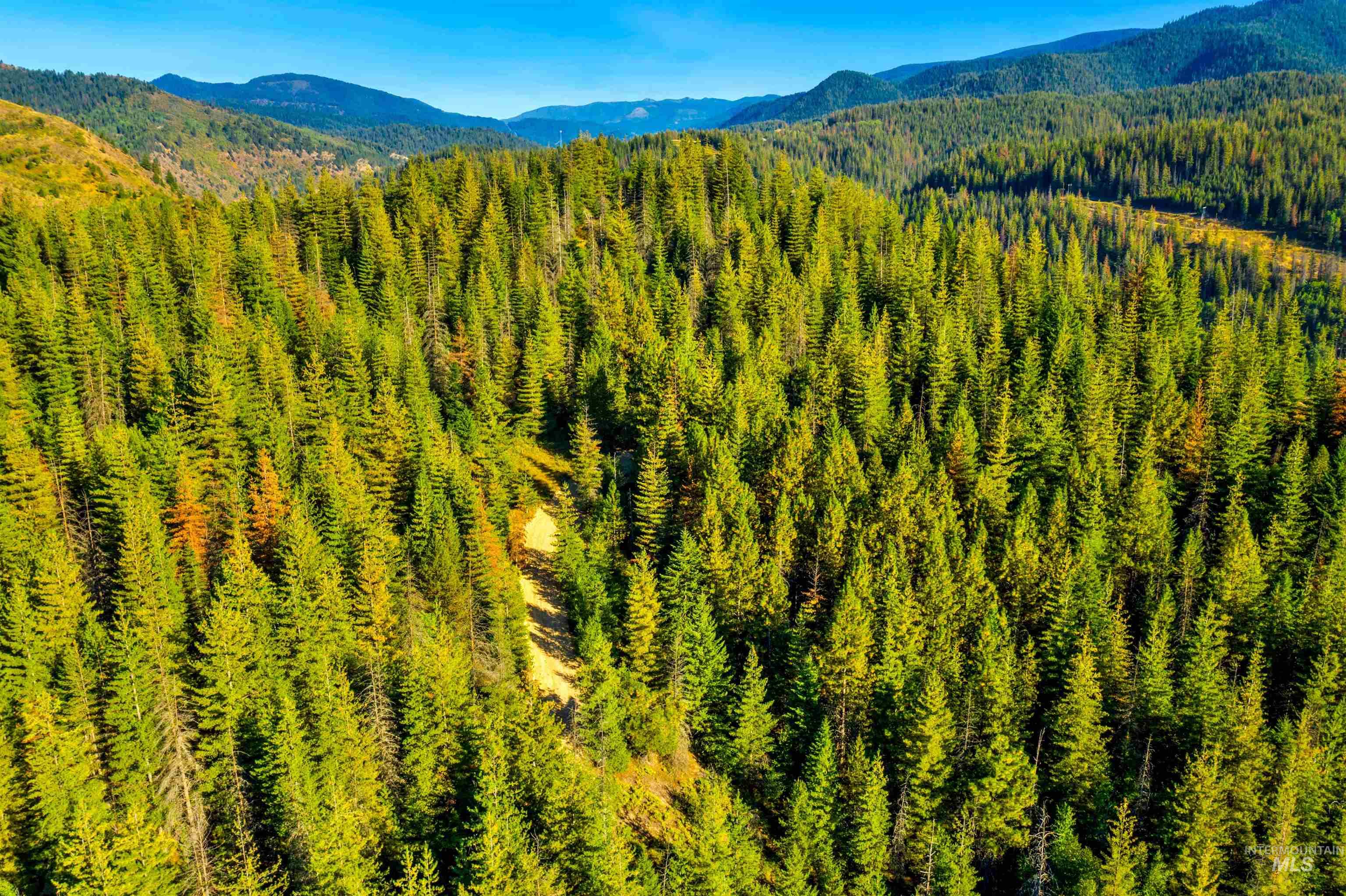 Access road into property