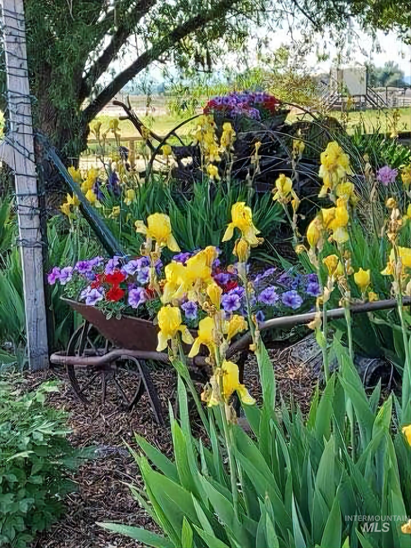 9221 Brill Road, Emmett, Idaho 83617, 3 Bedrooms, 2 Bathrooms, Residential For Sale, Price $745,000, 98970705