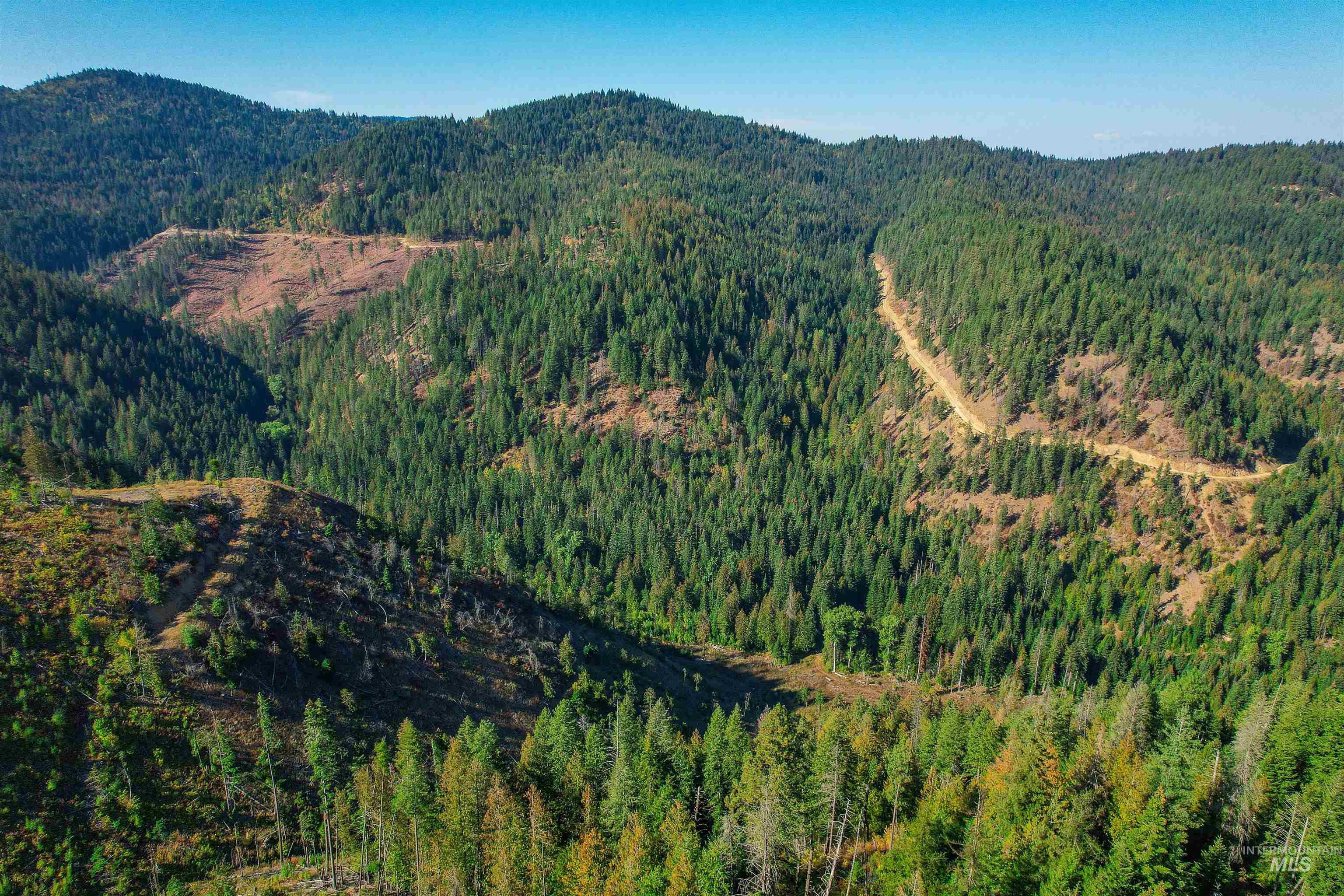 NKA Bodie Canyon Dr., Priest River, Idaho 83856, Land For Sale, Price $155,000, 98970714