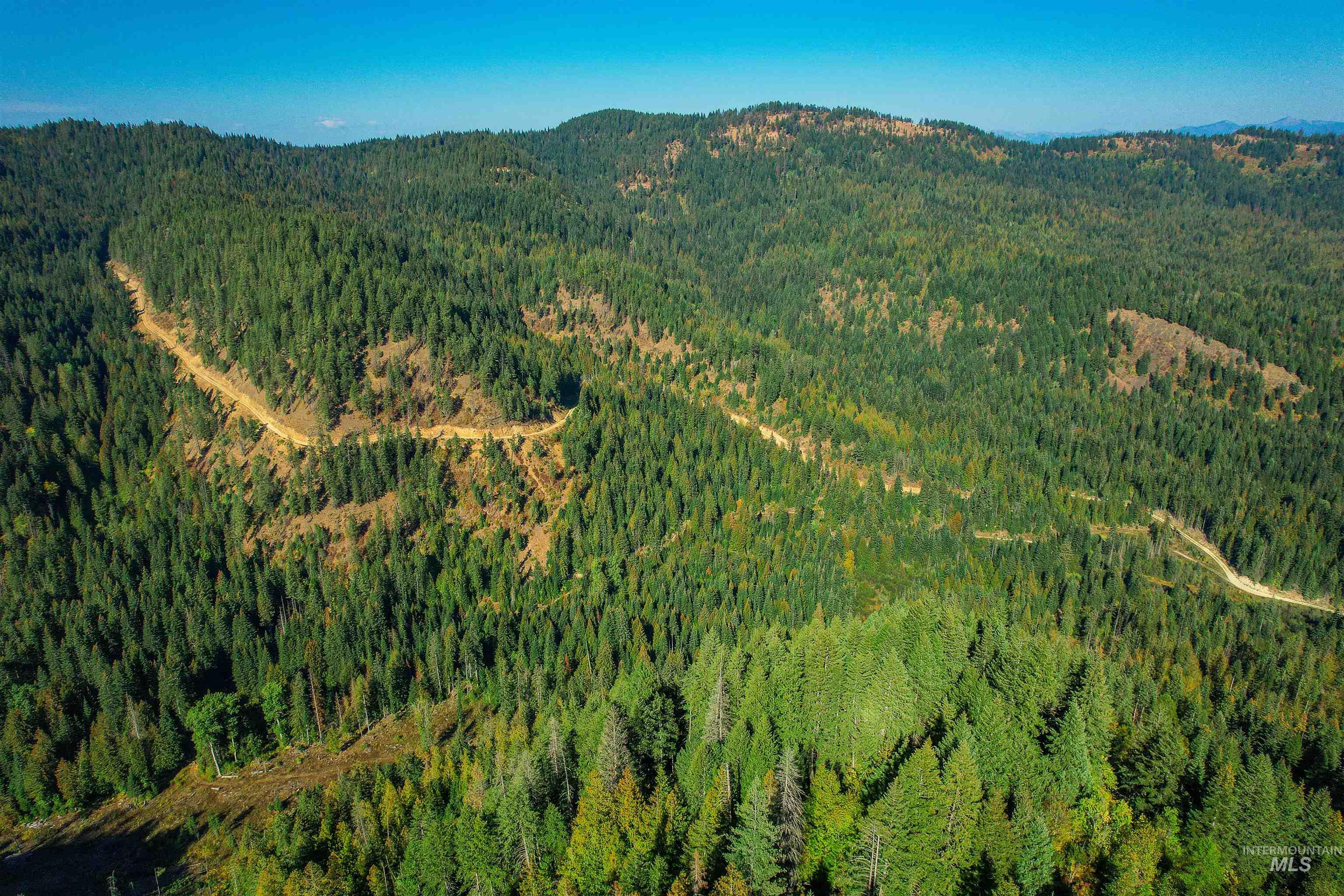 NKA Bodie Canyon Dr., Priest River, Idaho 83856, Land For Sale, Price $155,000, 98970714