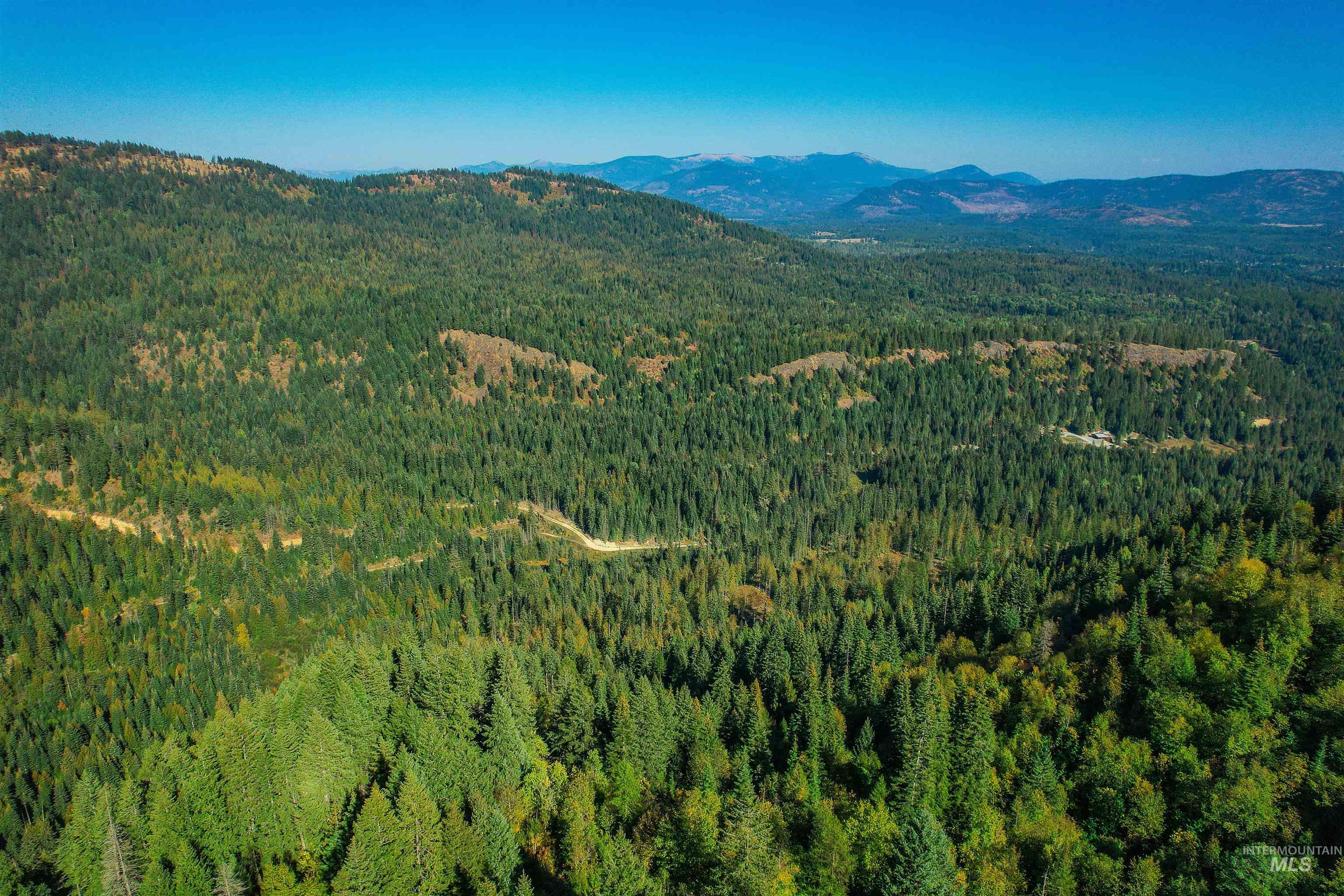 NKA Bodie Canyon Dr., Priest River, Idaho 83856, Land For Sale, Price $155,000, 98970714