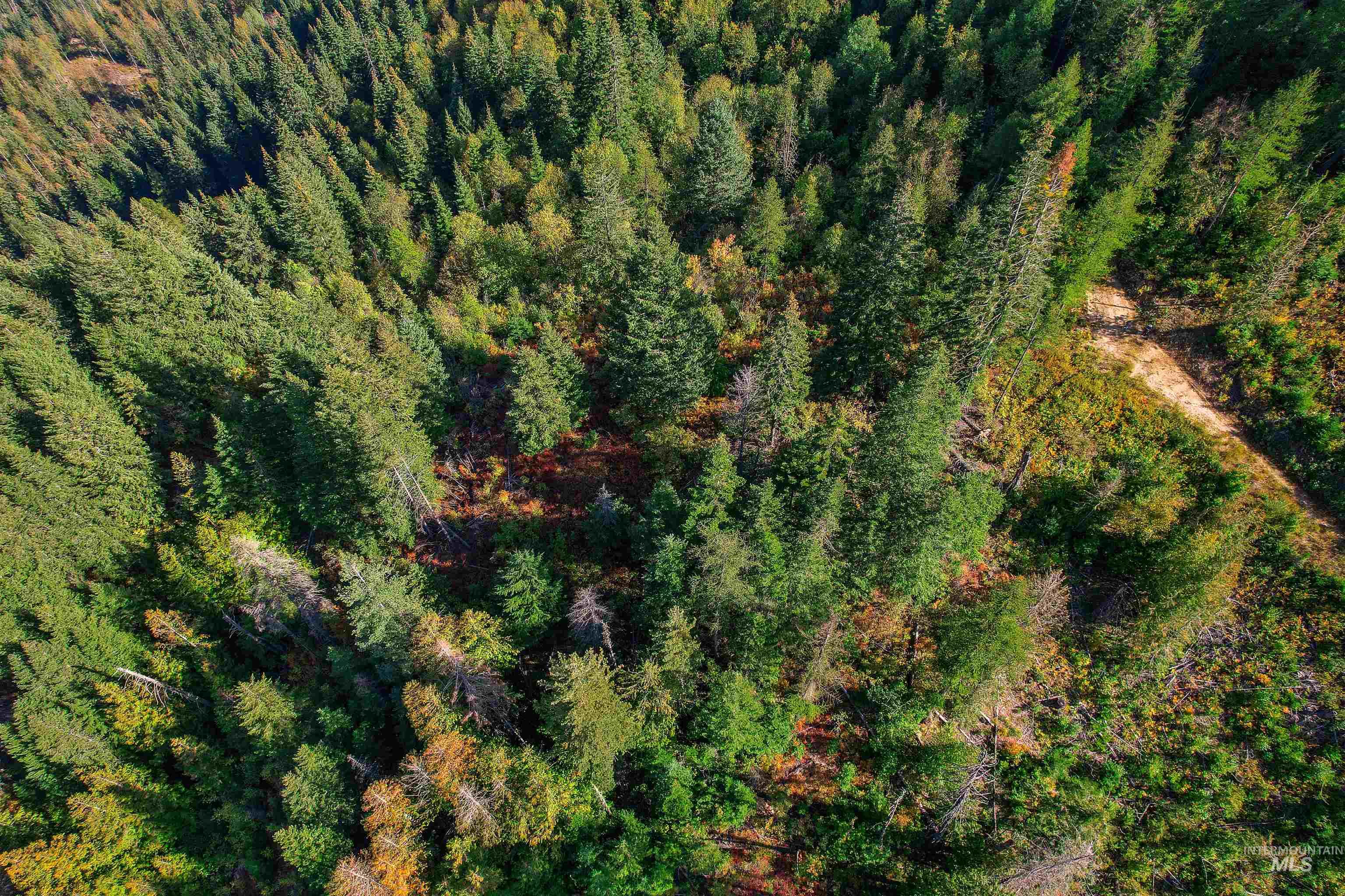 NKA Bodie Canyon Dr., Priest River, Idaho 83856, Land For Sale, Price $155,000, 98970714