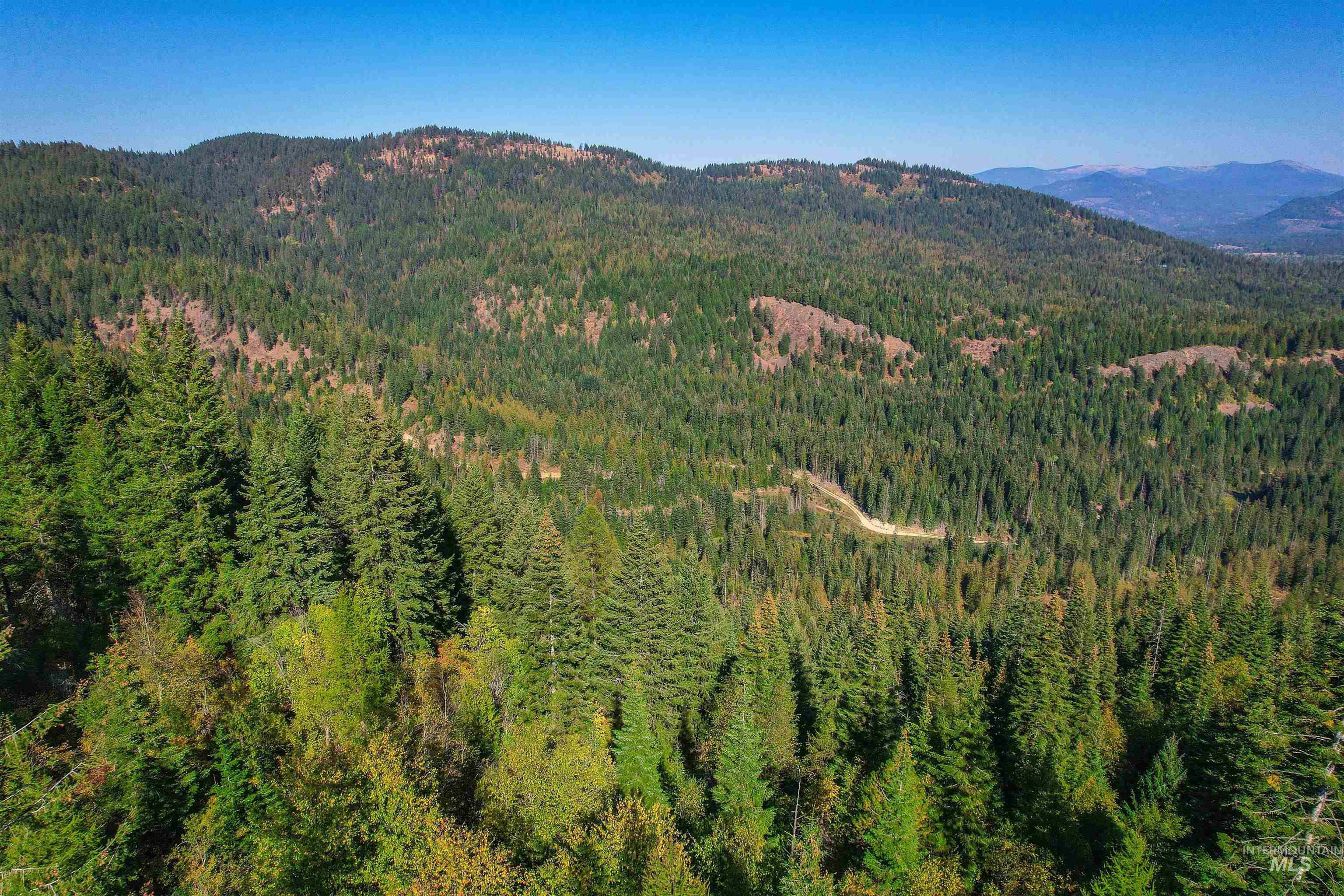 NKA Bodie Canyon Dr., Priest River, Idaho 83856, Land For Sale, Price $155,000, 98970714